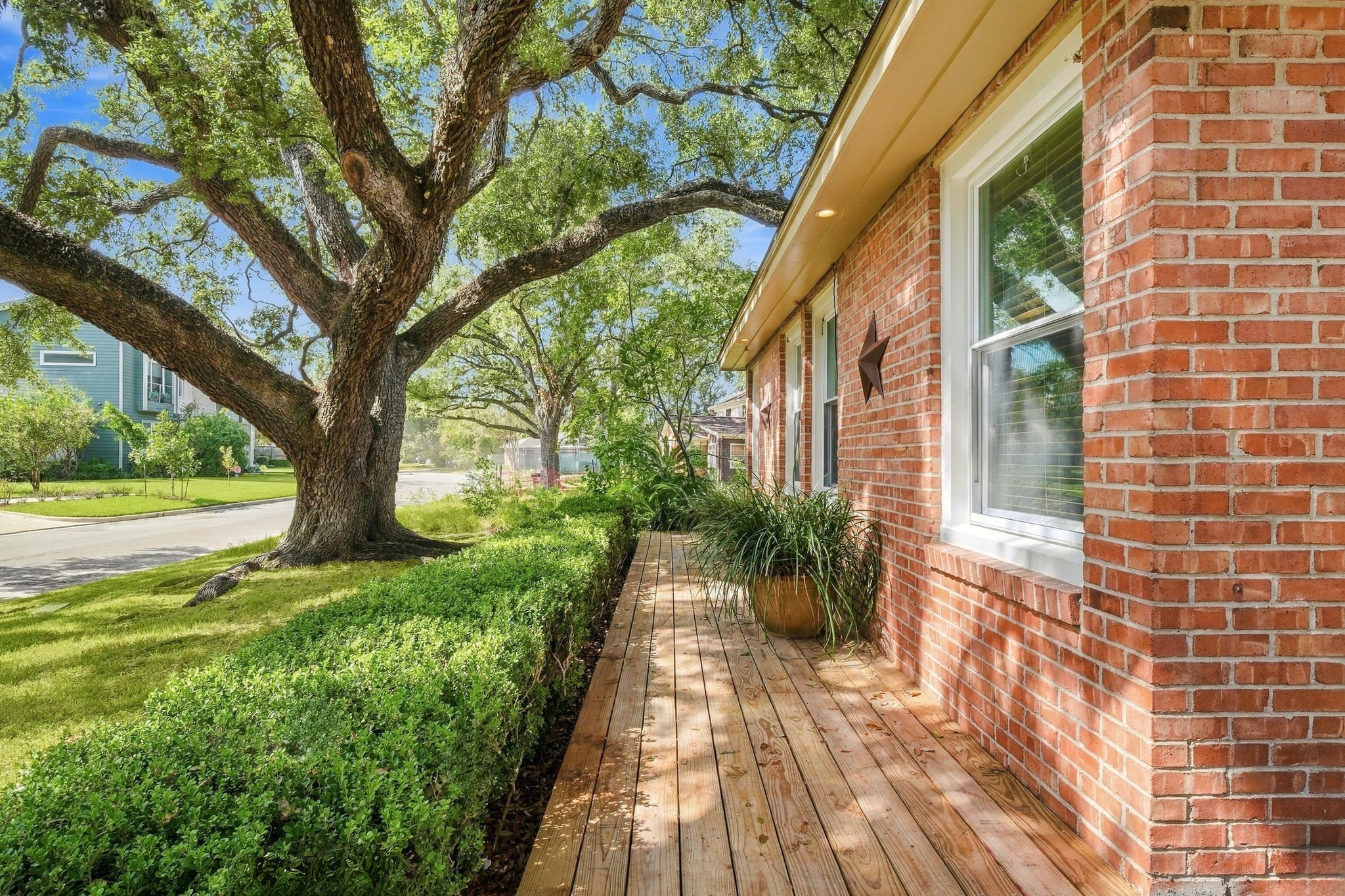 Enjoy your morning coffee or an evening glass of wine under the most gorgeous live oak tree