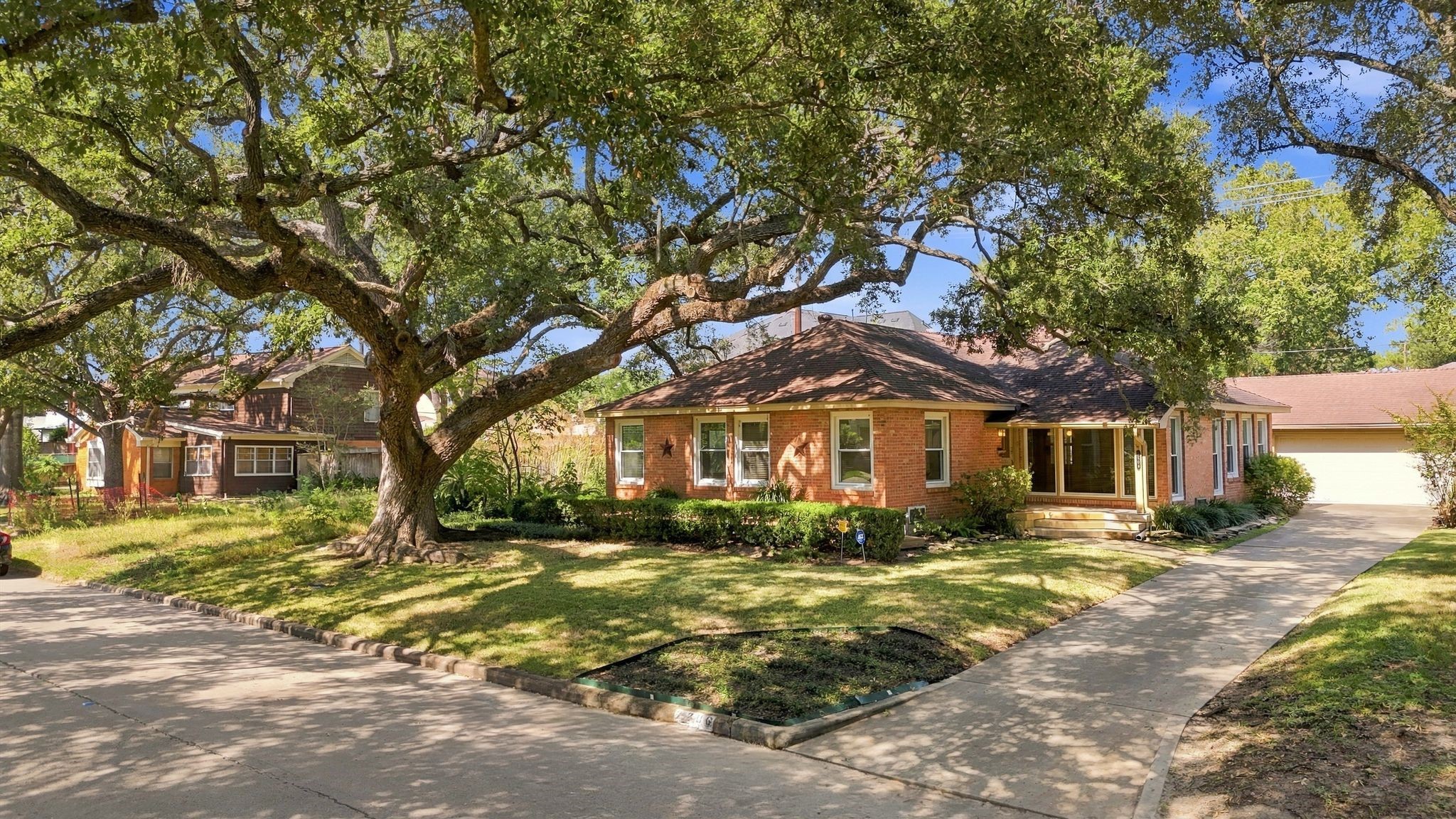 Most beautiful oak tree