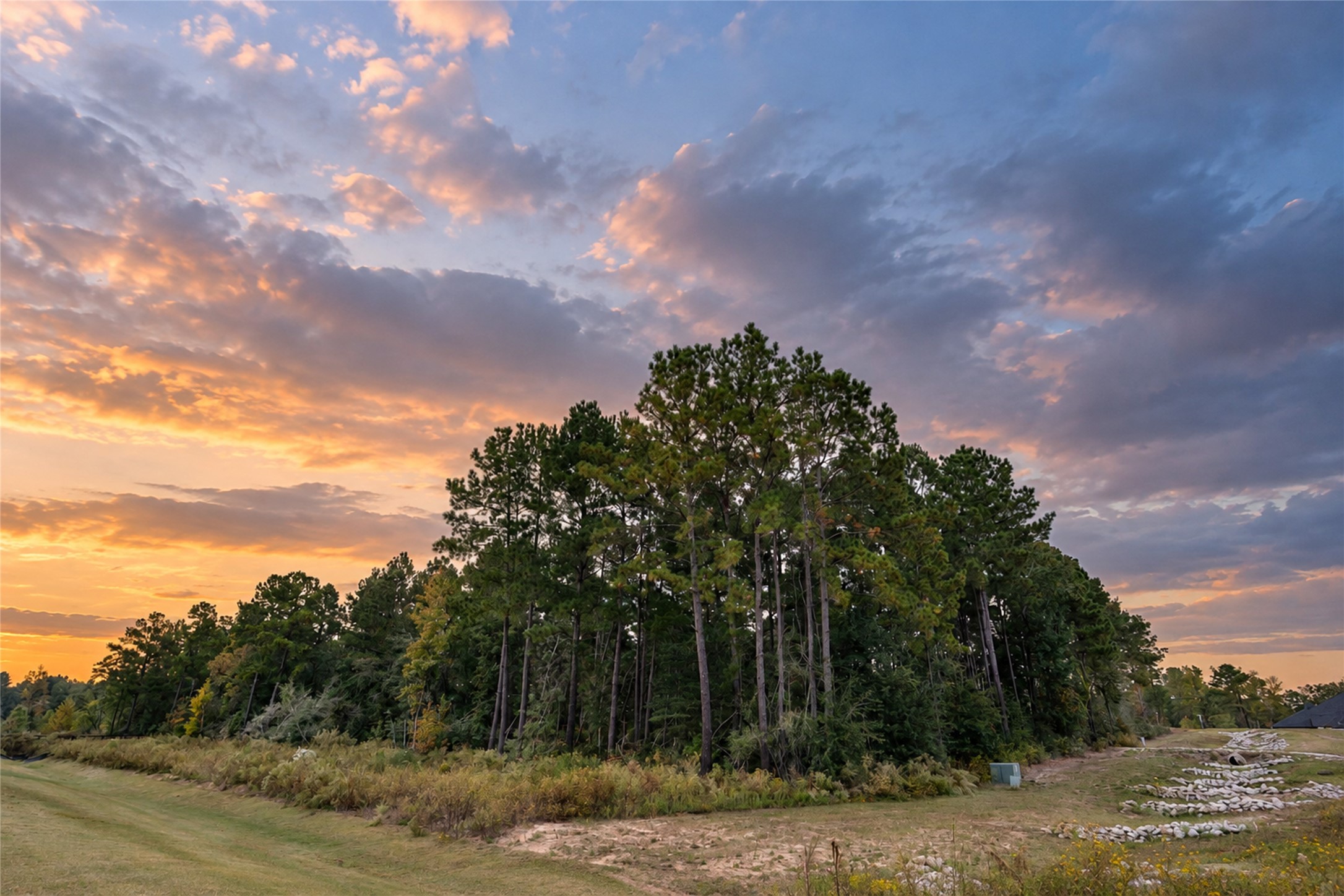 A sunset view highlights the propertys mature trees and natural beauty. A sunset view highlights the propertys mature trees and natural beauty.