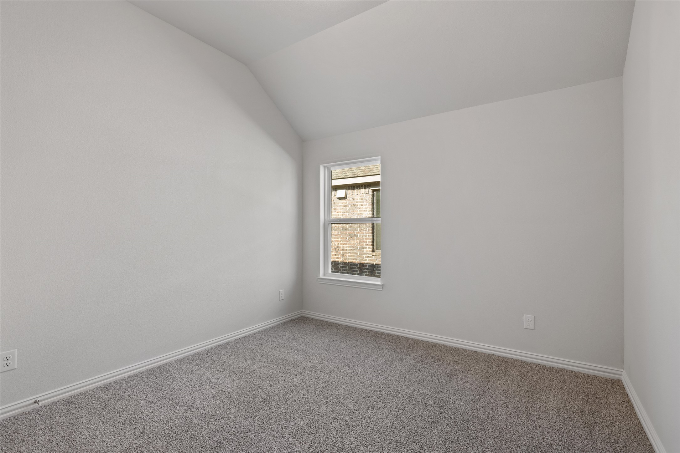 Representative photos