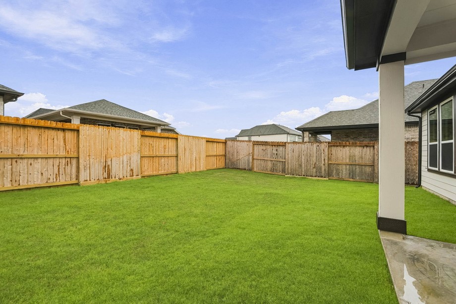 Backyard
