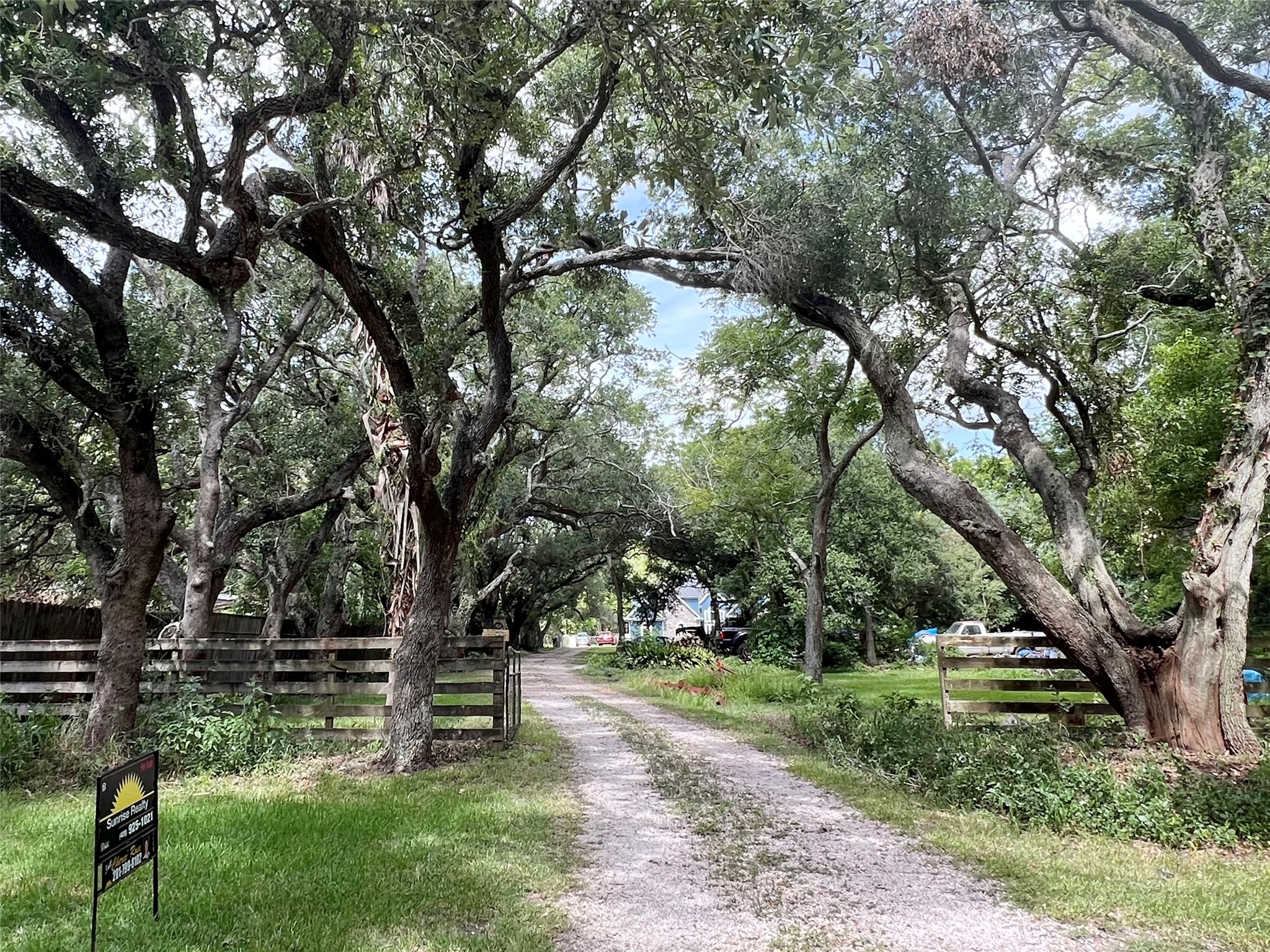 Impressive Private Oak Lined Drive