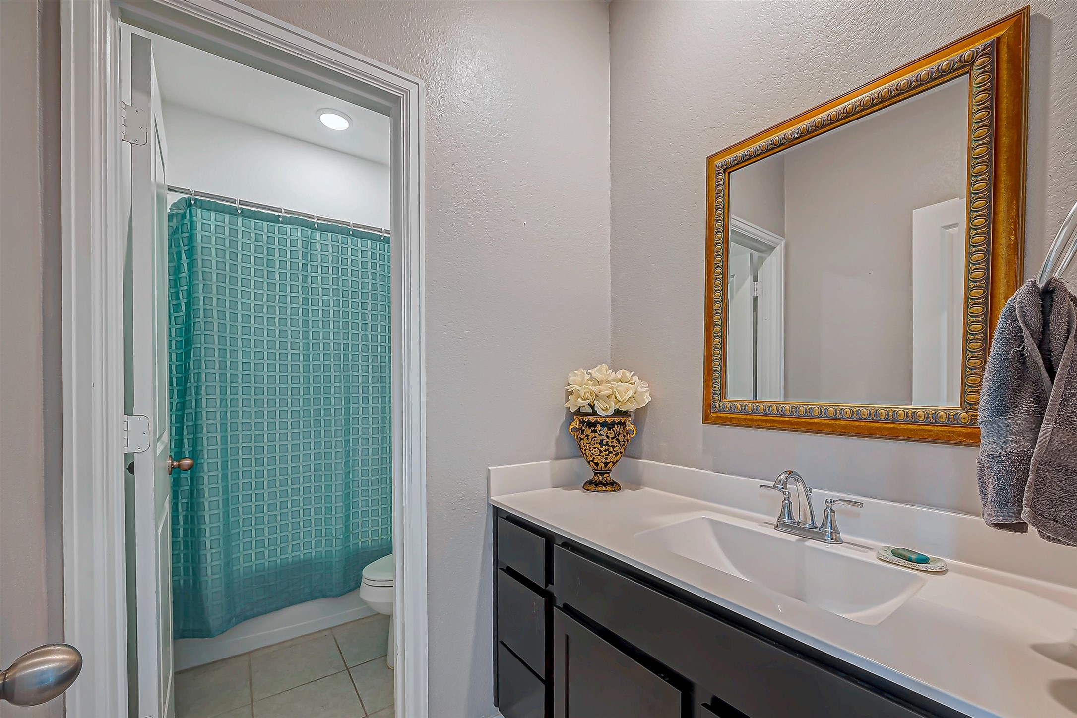 2805 Vanilla Sky Lane, La Marque, TX 77568