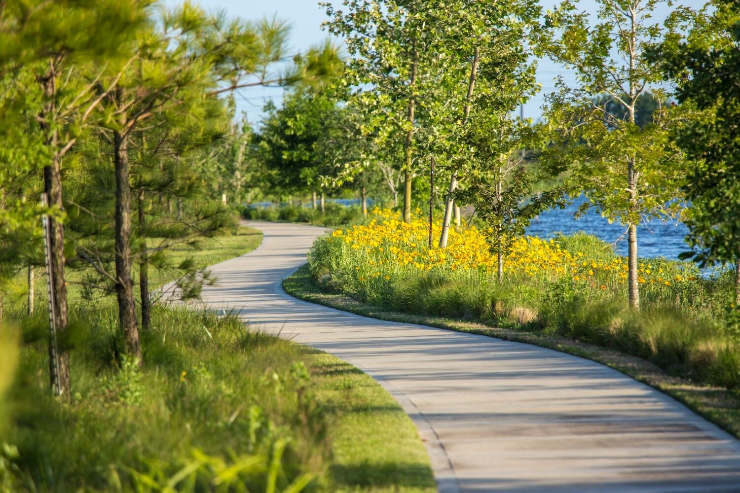 Winding through the gently rolling hills and along the lakes and waterways of Cross Creek Ranch are miles of hike-and-bike trails to explore and enjoy.

Trails also include:
Small rest areas with shaded park benches
Convenient doggy bag stations
Diverse wildlife and ever-changing wildflowers.  WELCOME HOME TO NATURE...and Reason #10 of why you will love this house and all the CCR has to offer!