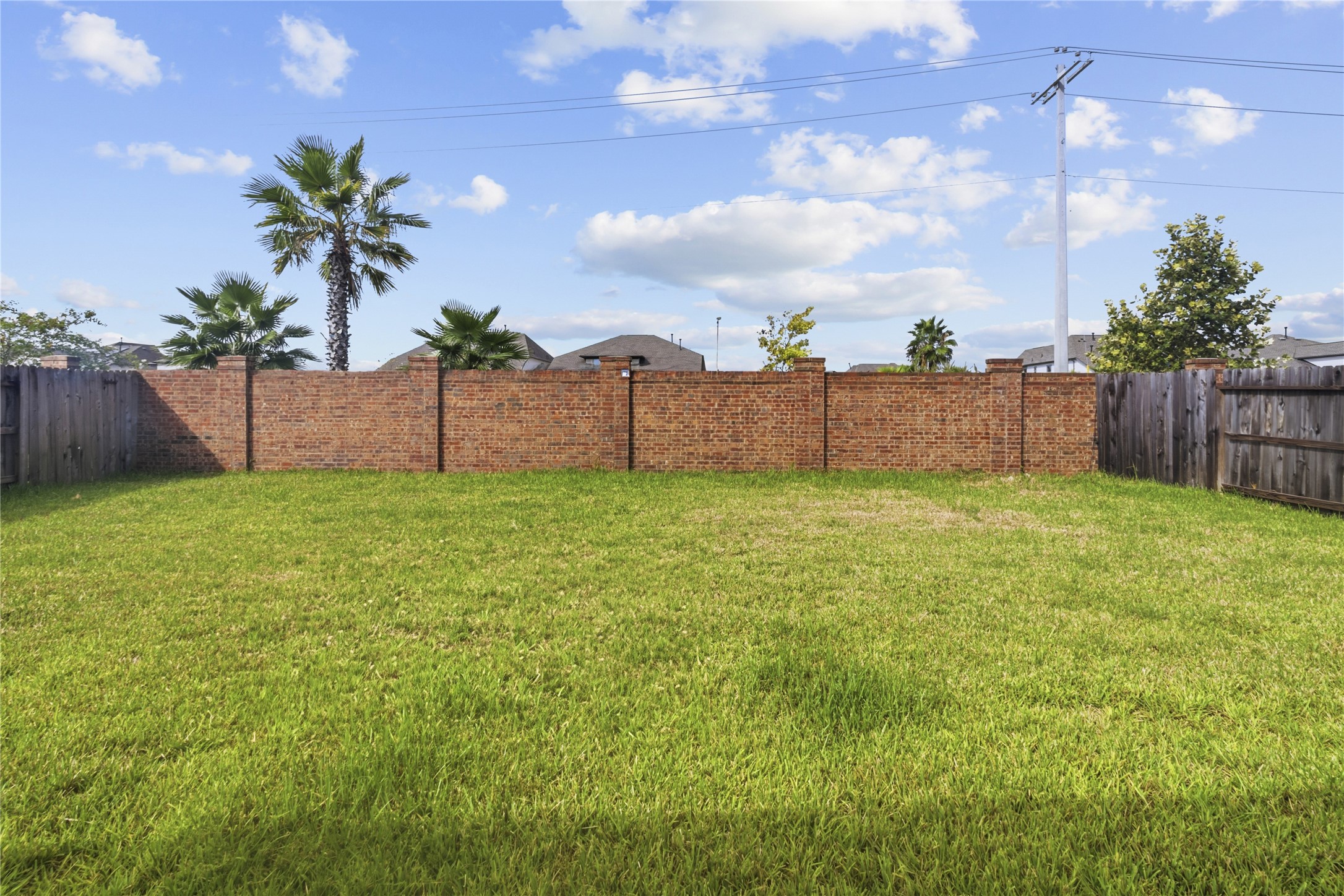 Spacious backyard with lush green grass, bordered by a combination of brick and wooden fencing, enhanced by palm trees for a touch of tropical flair.