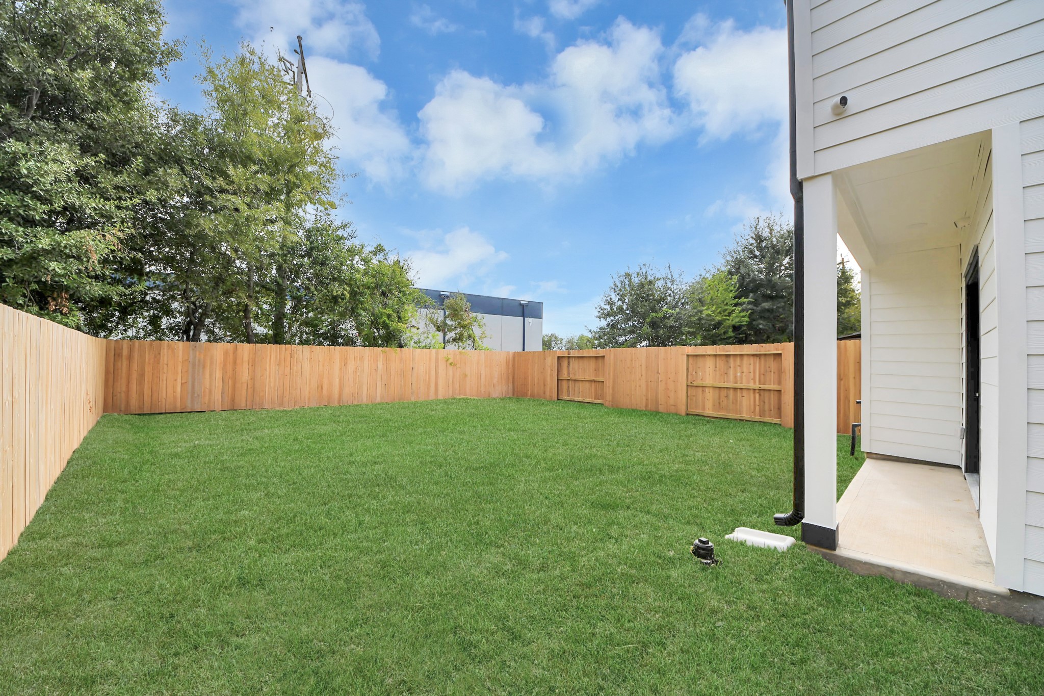 Spacious backyard with lush green grass, bordered by a sturdy wooden fence, perfect for outdoor activities and relaxation.