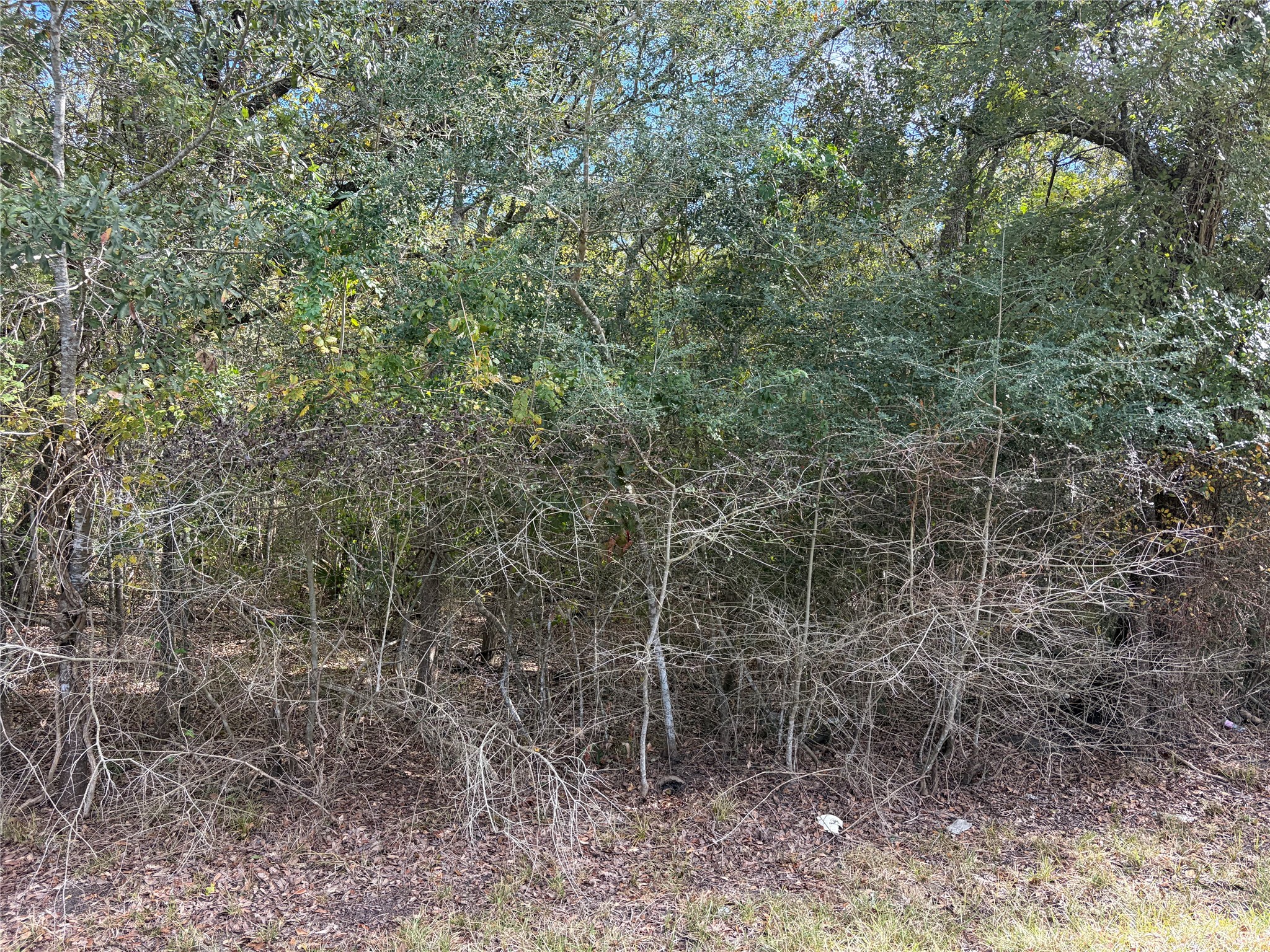 Wooded lot off CR 848 Bayou Drive Wooded lot off CR 848 Bayou Drive