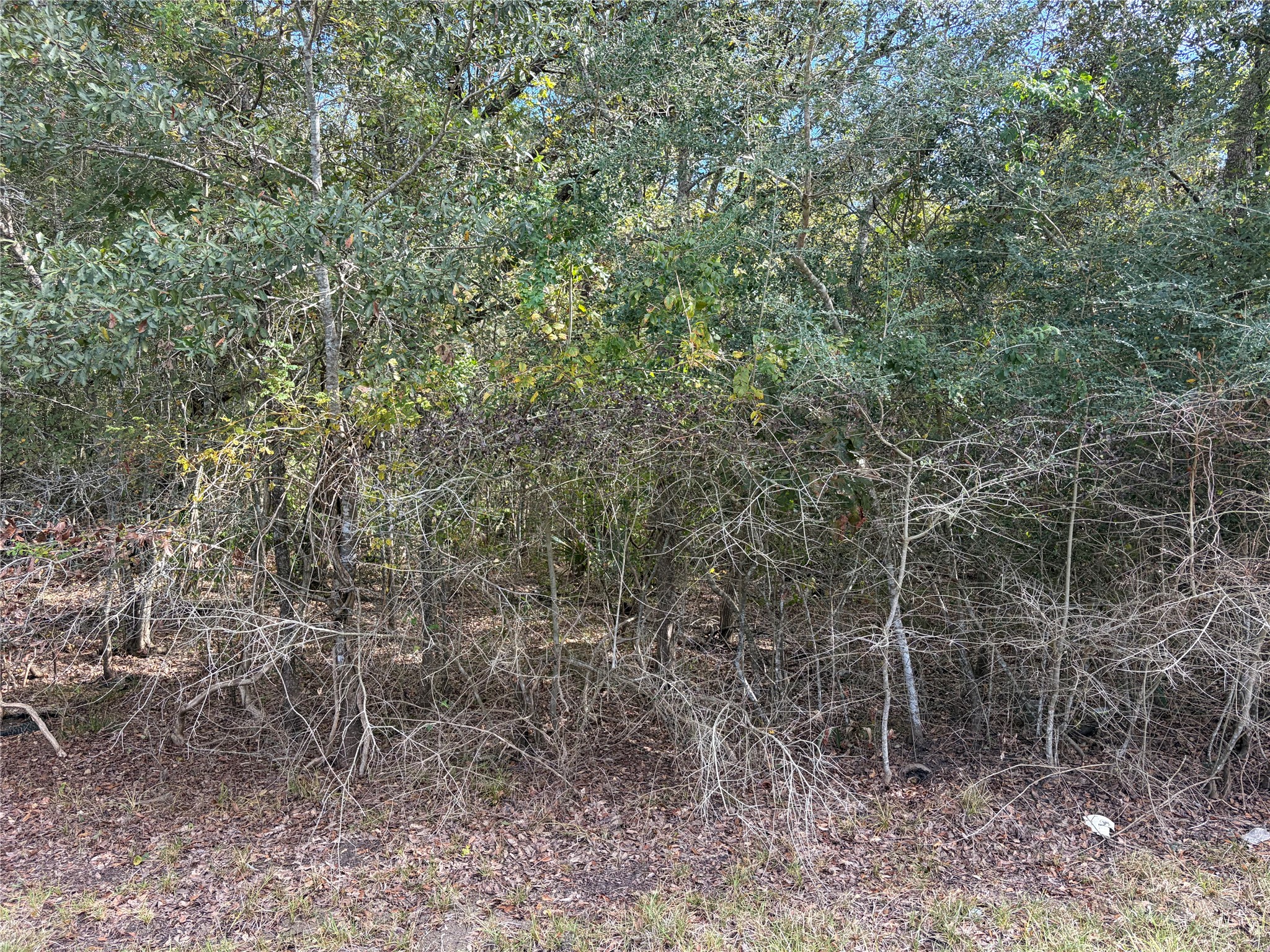 00 Bayou Drive, Danbury, TX 77534