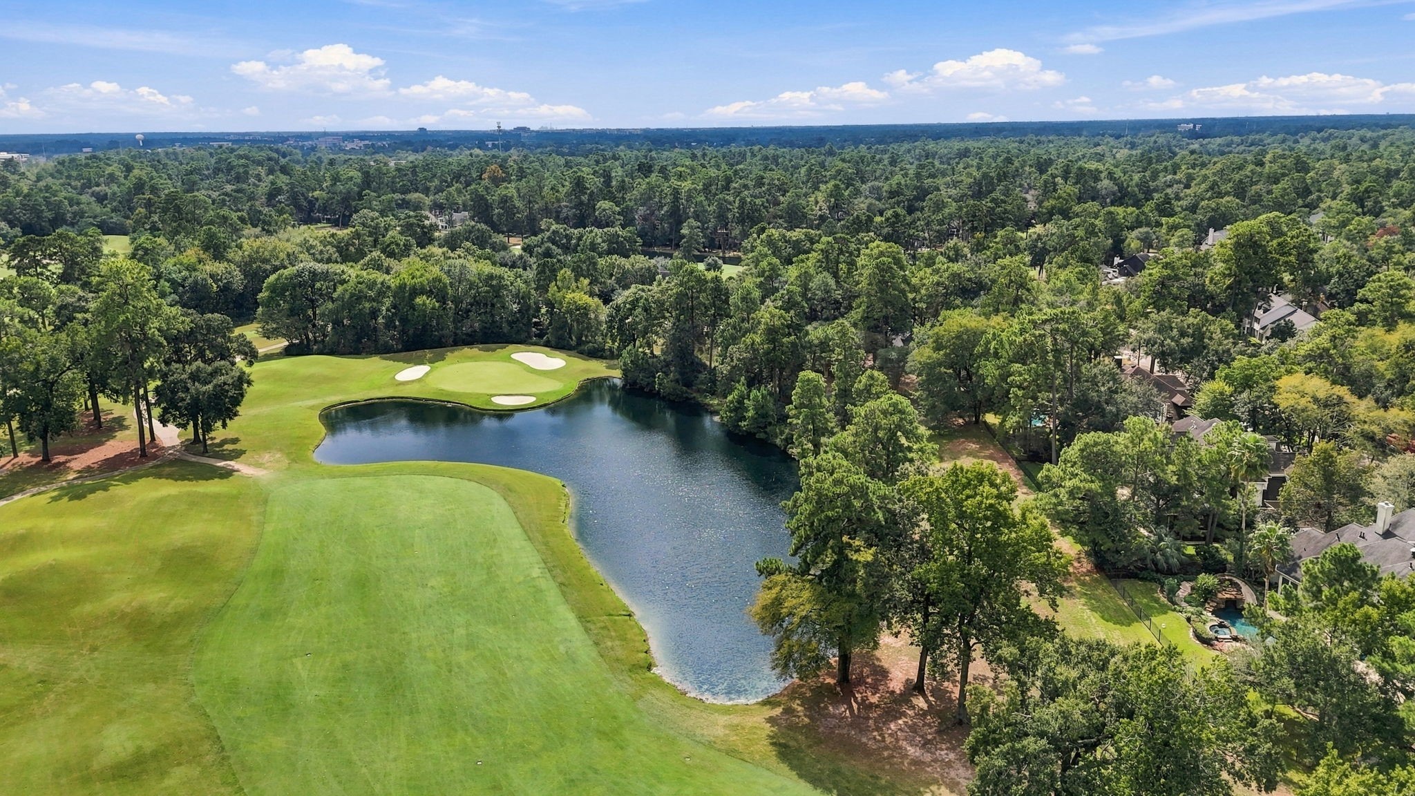 3 Rain Fern Court, The Woodlands, TX 77380