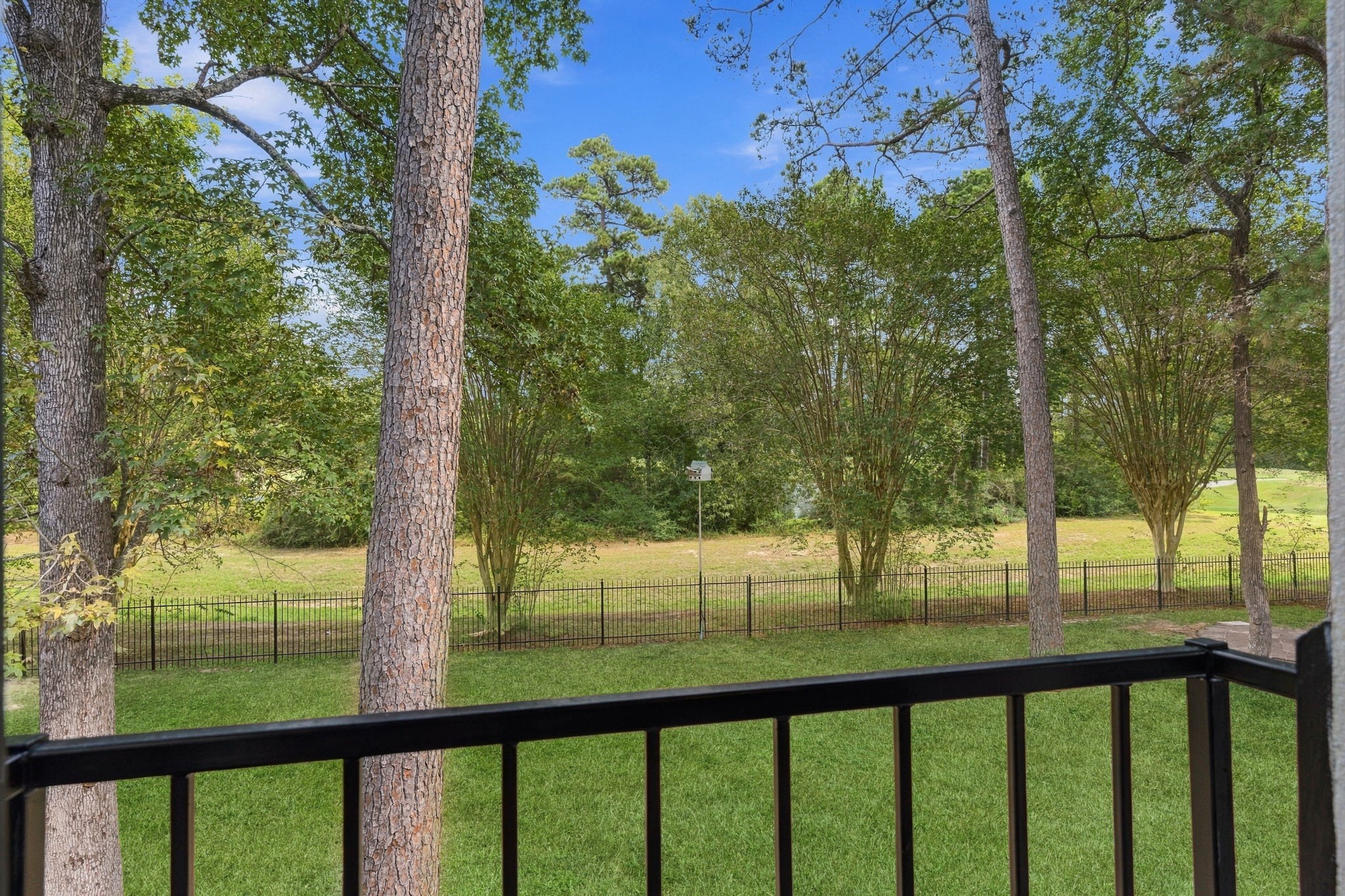 3 Rain Fern Court, The Woodlands, TX 77380