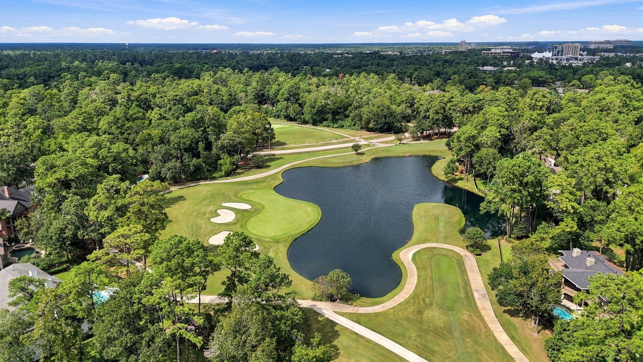 3 Rain Fern Court, The Woodlands, TX 77380