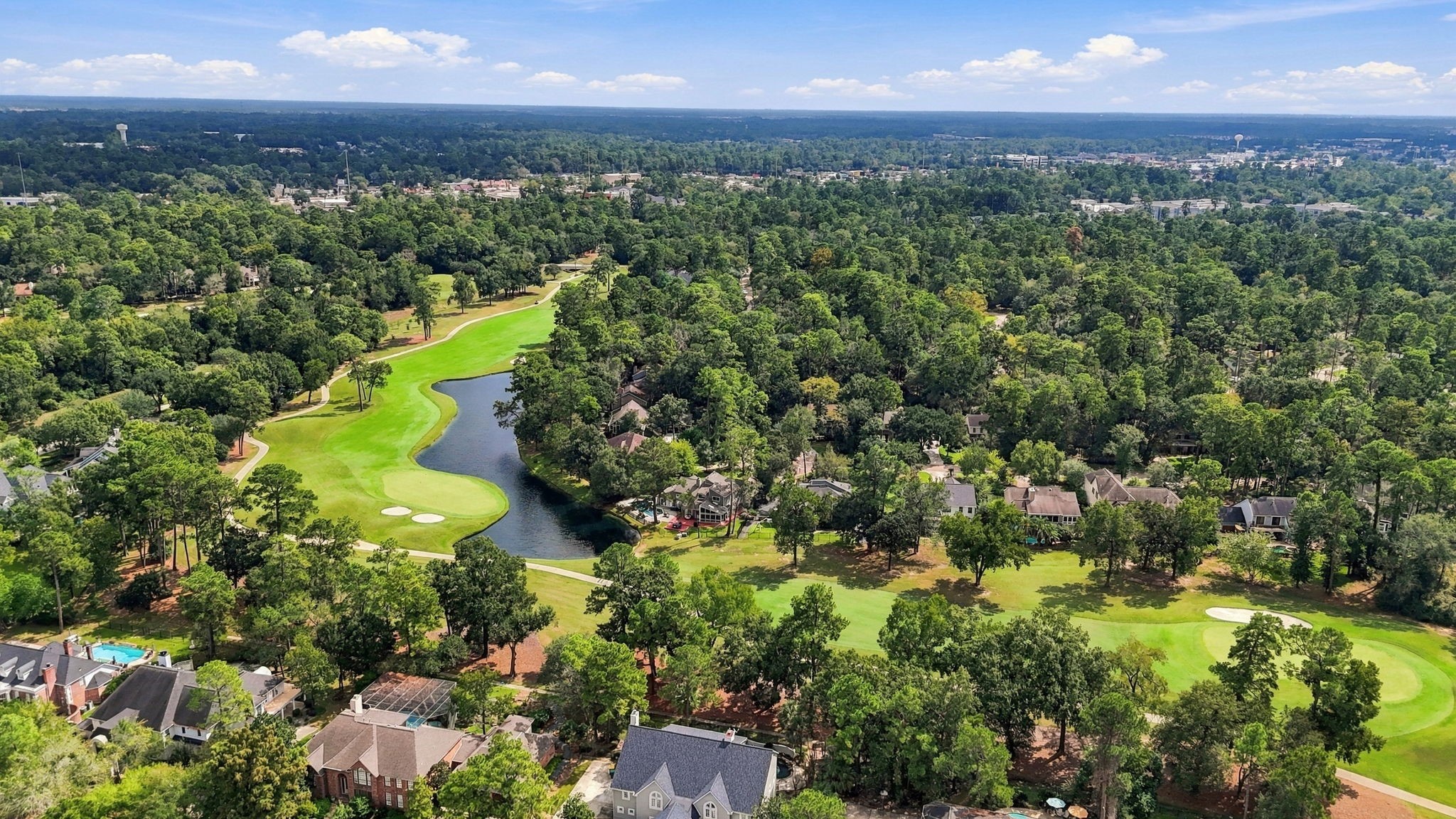 3 Rain Fern Court, The Woodlands, TX 77380