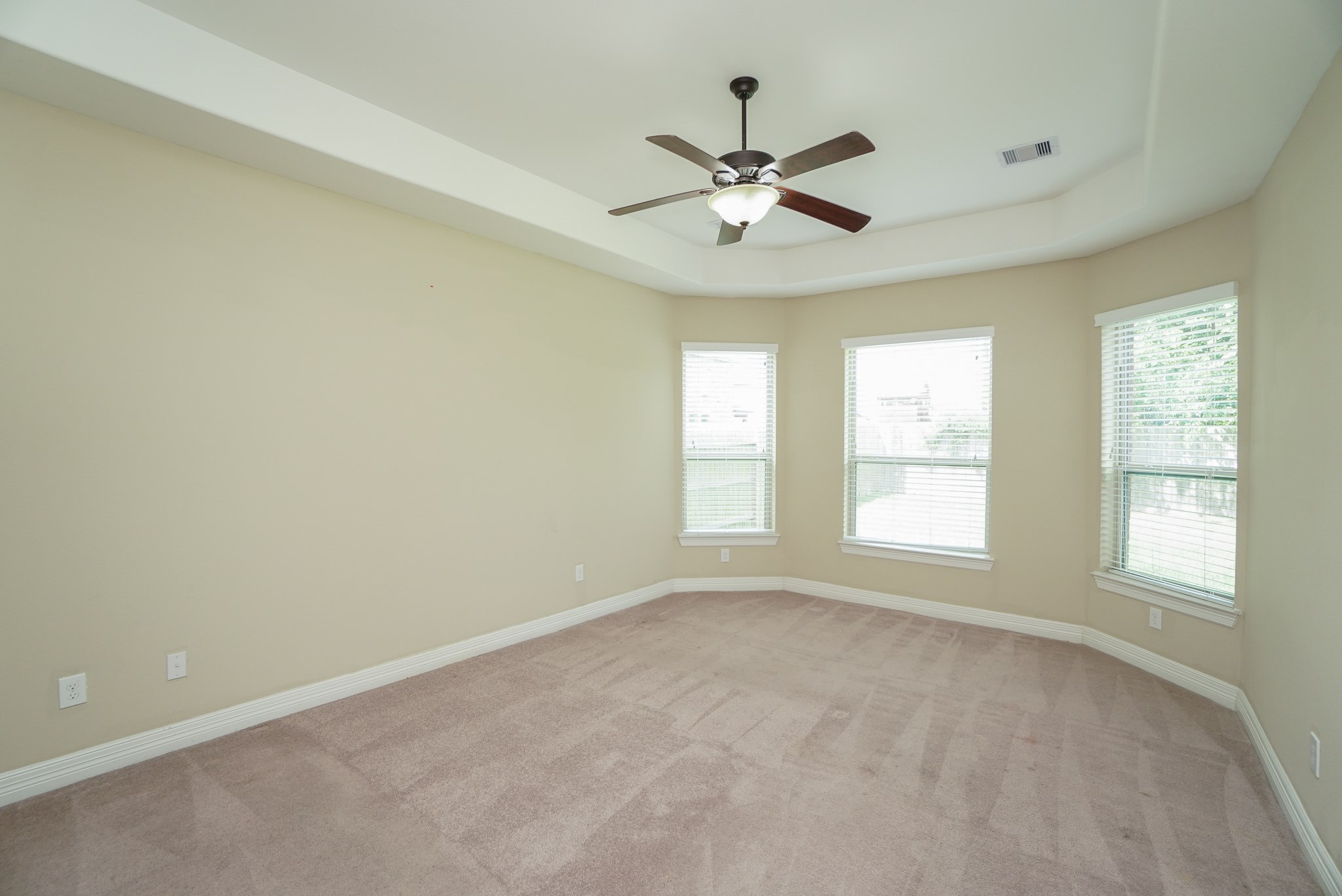 The spacious primary suite offers plenty of natural light, tray ceiling, and a view of the backyard.