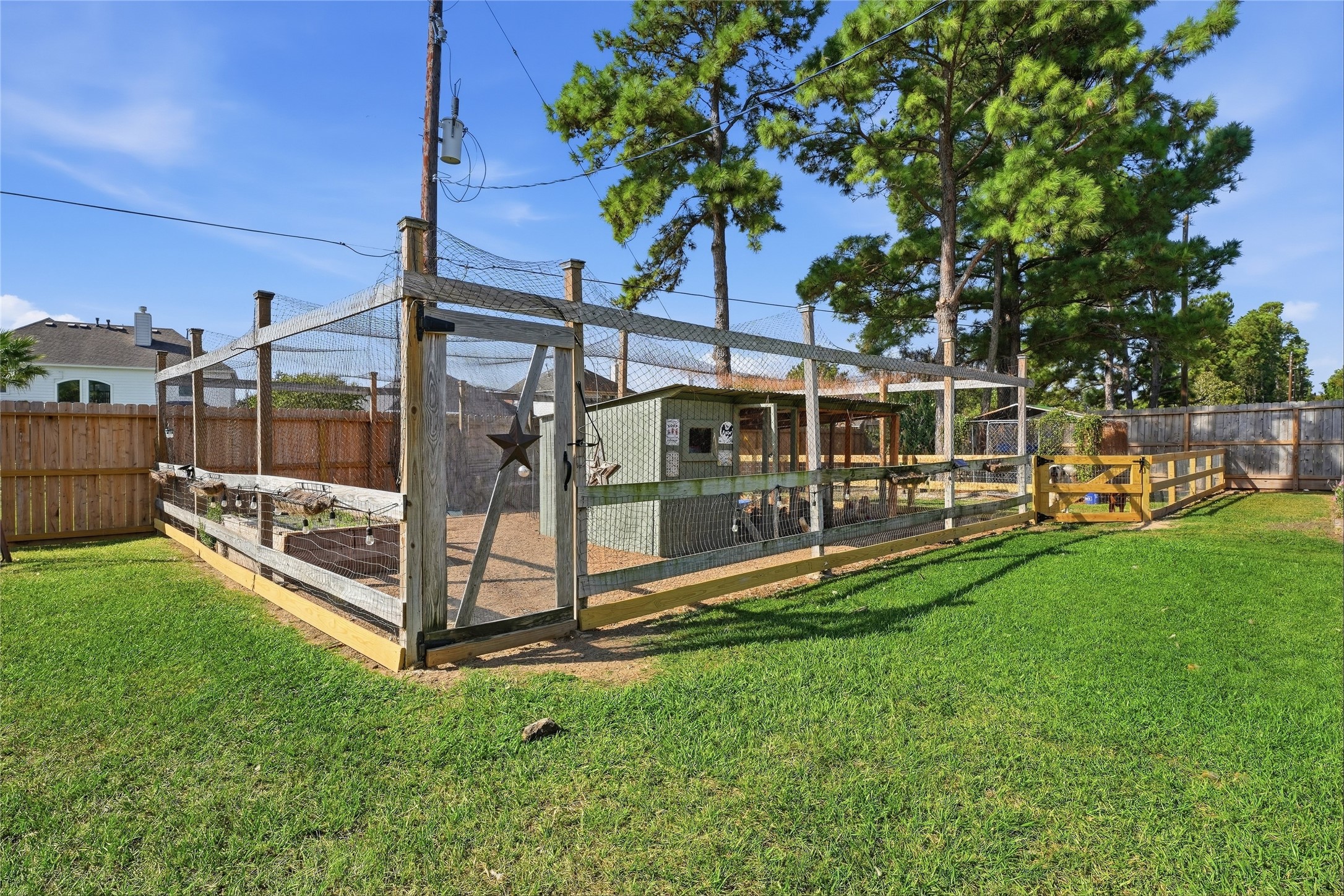 Beautiful chicken coop currently home to egg-laying chickens. Outdoor amenities are negotiable and may be included or removed based on the buyers preferences.