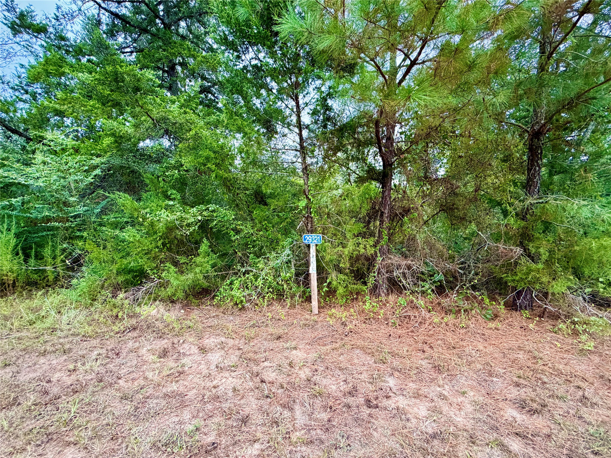 0 Cotton Tail Drive, Waller, TX 77484