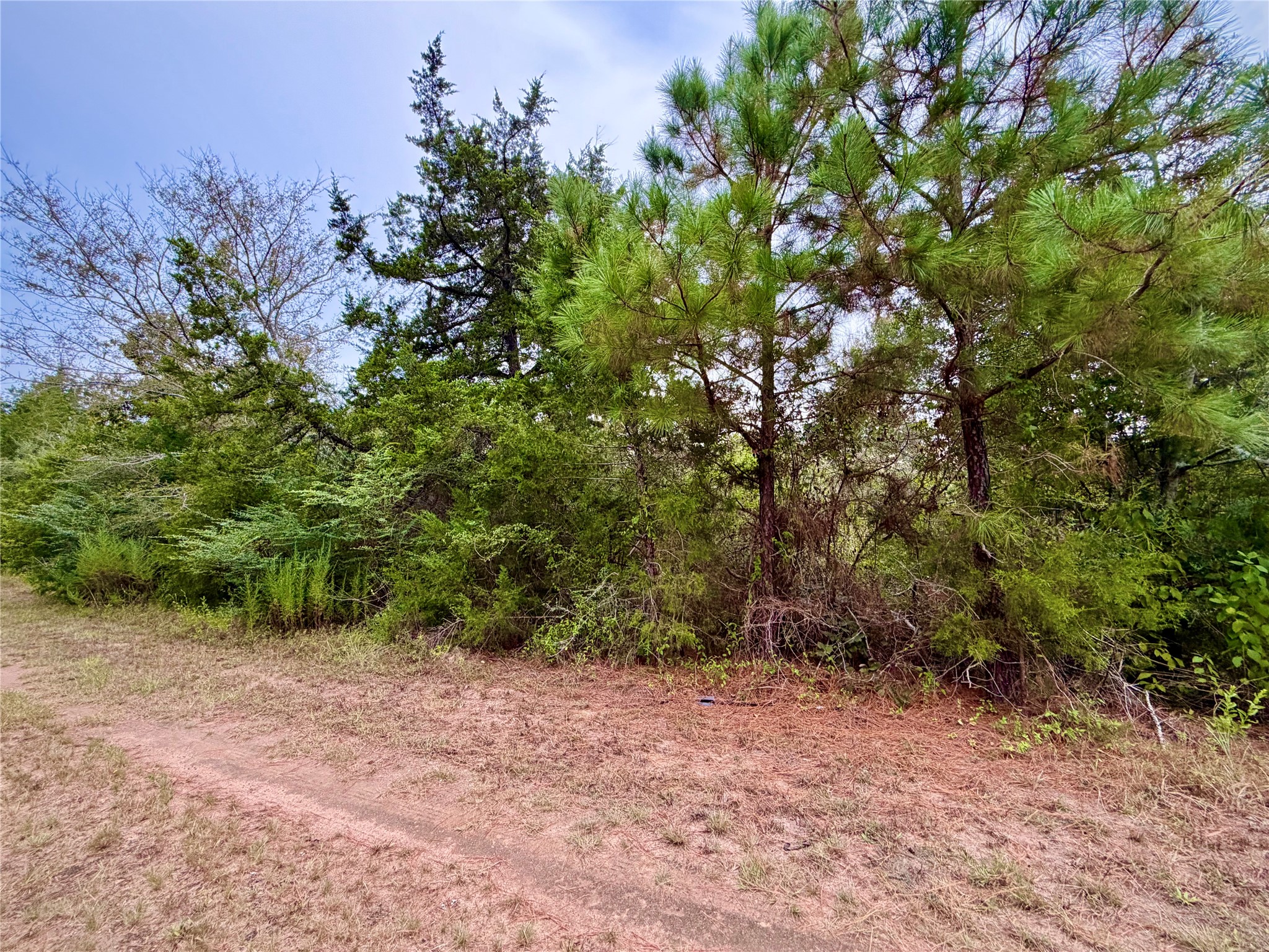 0 Cotton Tail Drive, Waller, TX 77484
