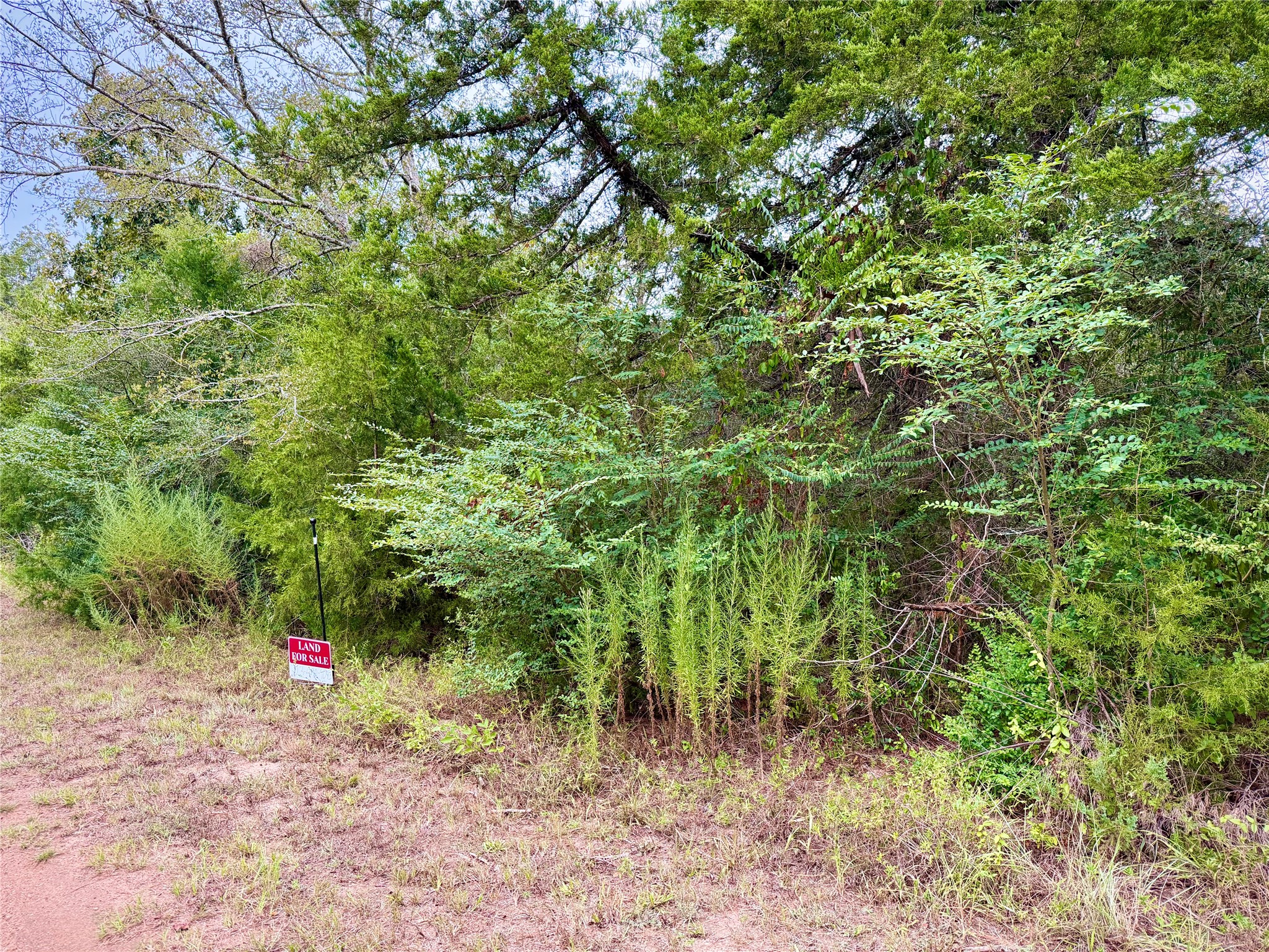 0 Cotton Tail Drive, Waller, TX 77484