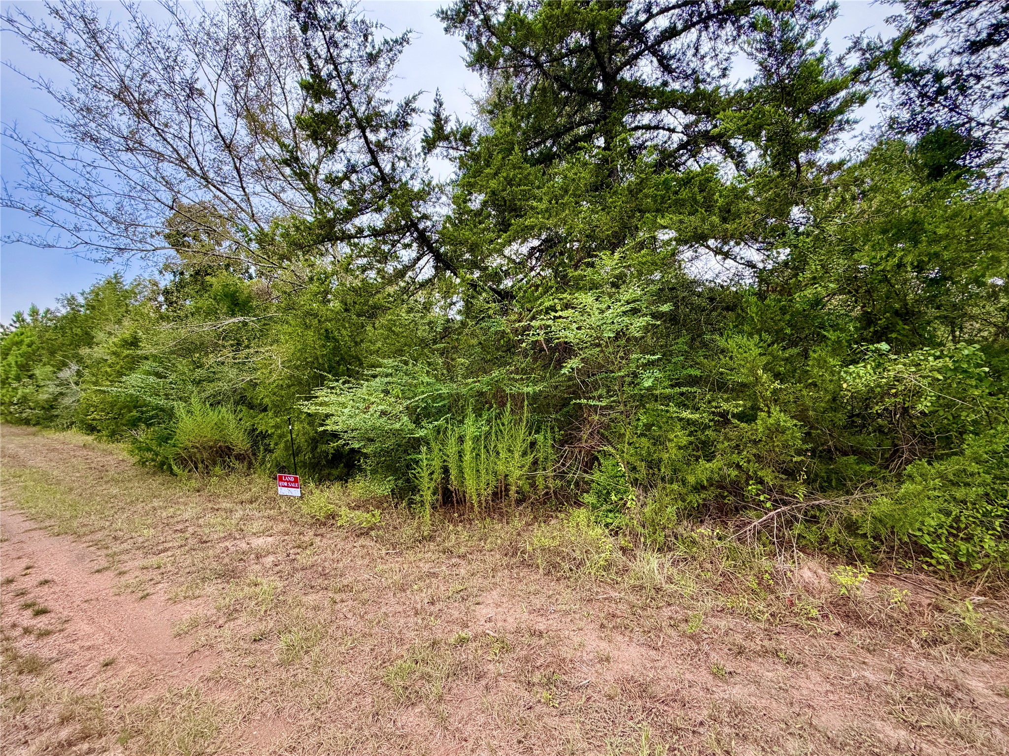 0 Cotton Tail Drive, Waller, TX 77484