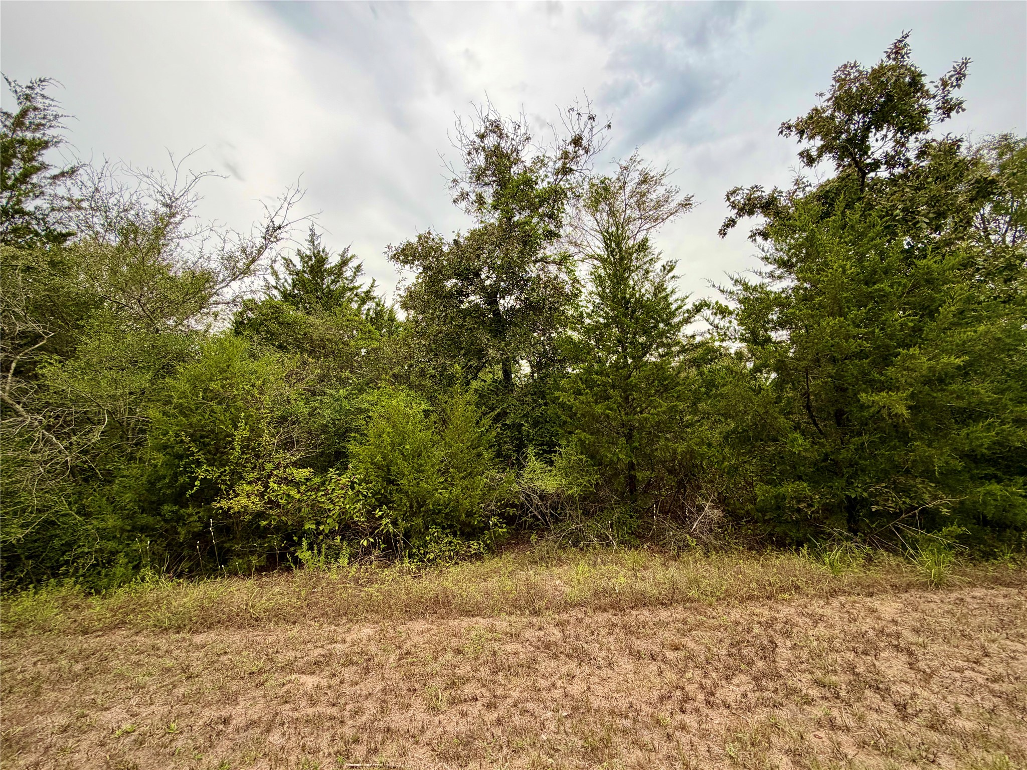 0 Cotton Tail Drive, Waller, TX 77484