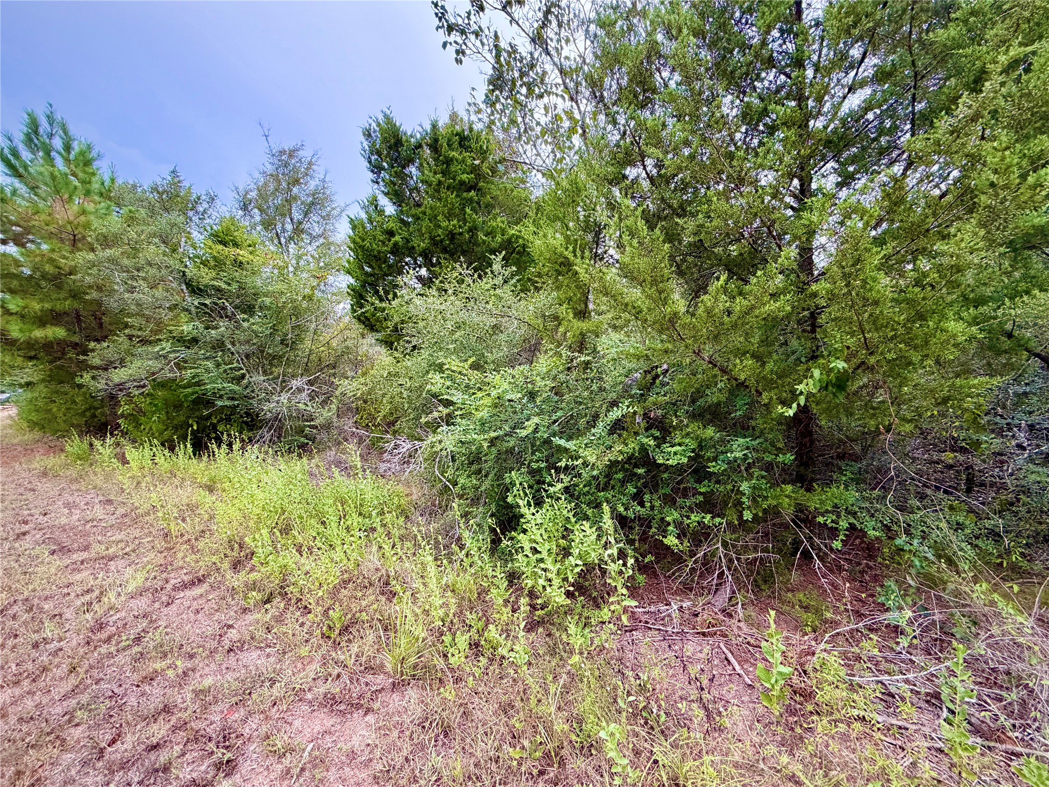 0 Cotton Tail Drive, Waller, TX 77484