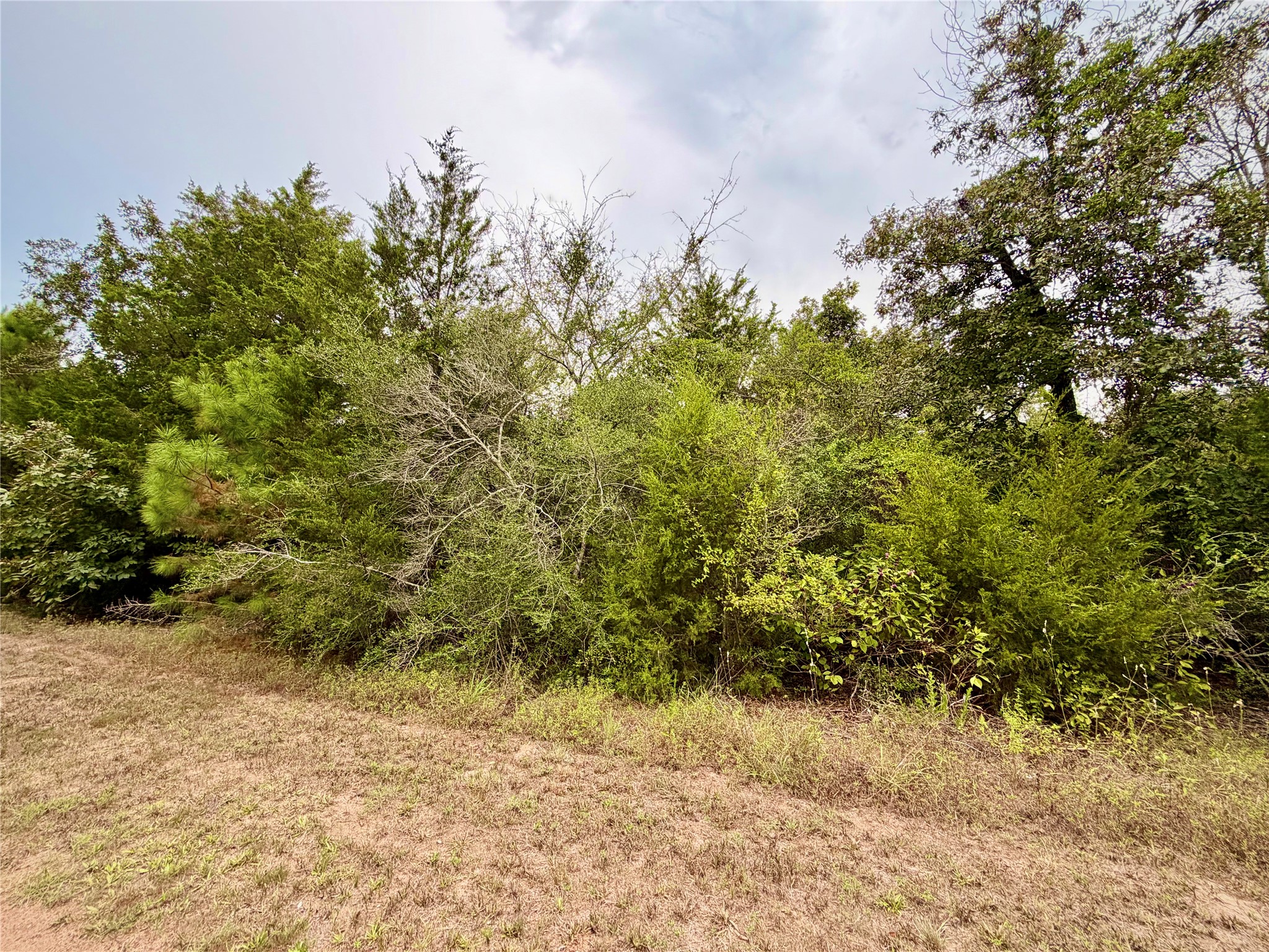 0 Cotton Tail Drive, Waller, TX 77484
