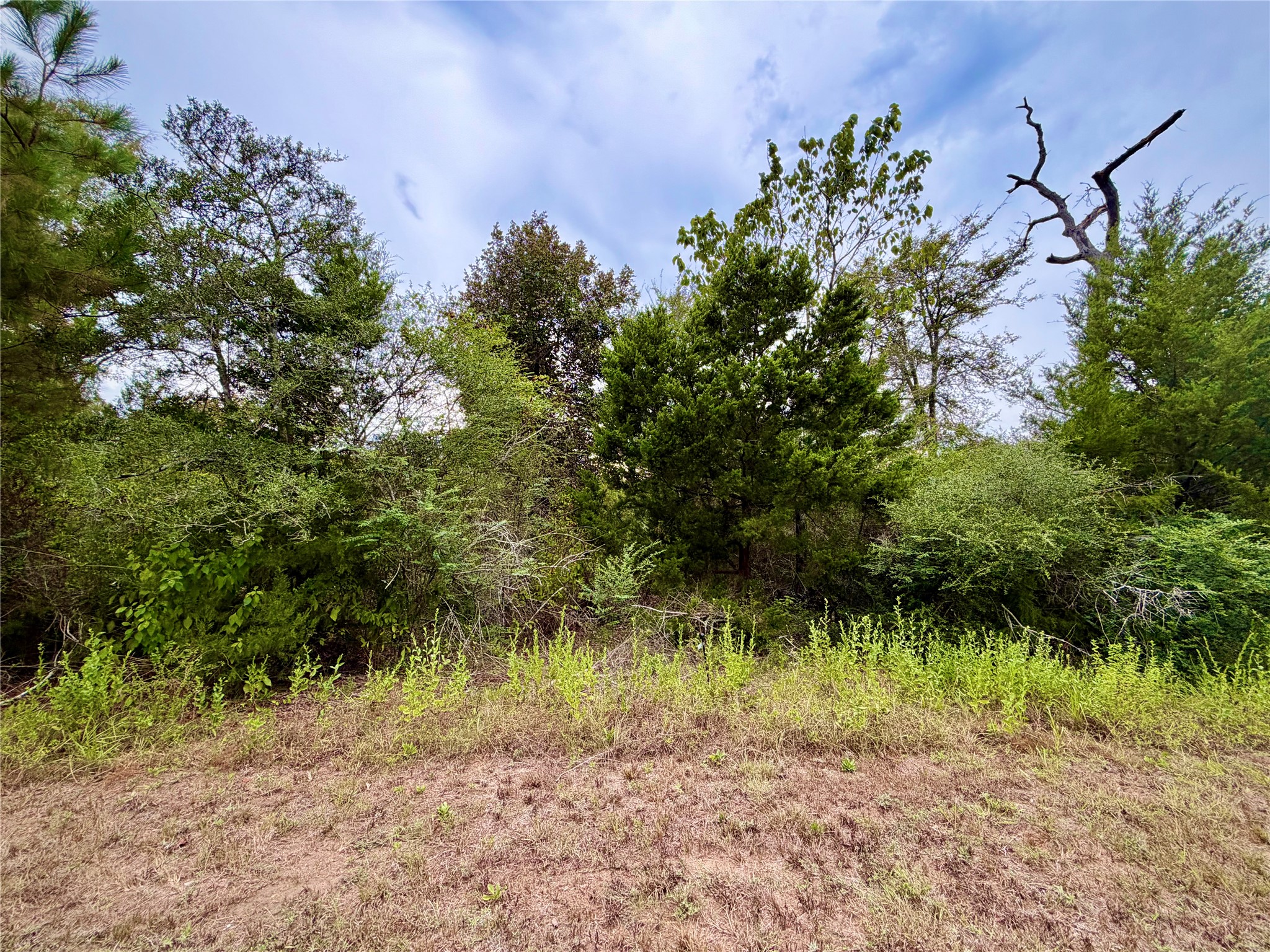 0 Cotton Tail Drive, Waller, TX 77484