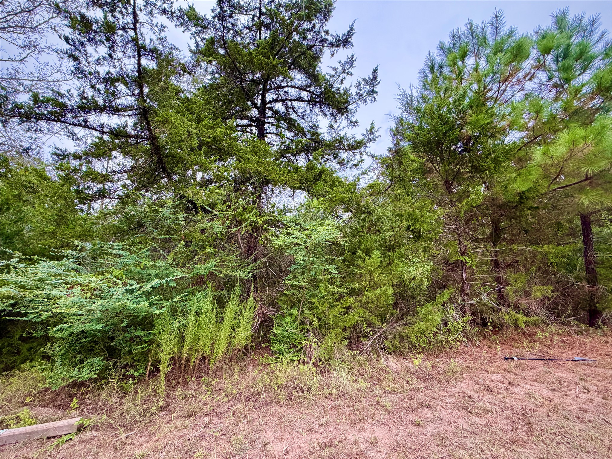 0 Cotton Tail Drive, Waller, TX 77484
