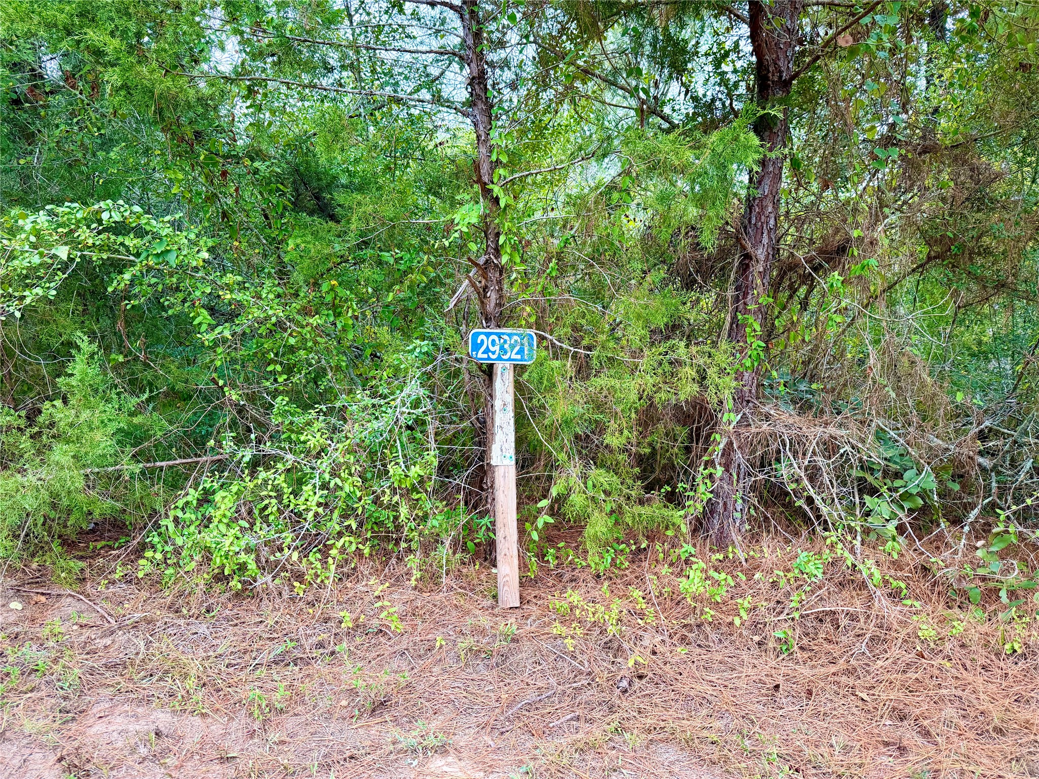 0 Cotton Tail Drive, Waller, TX 77484