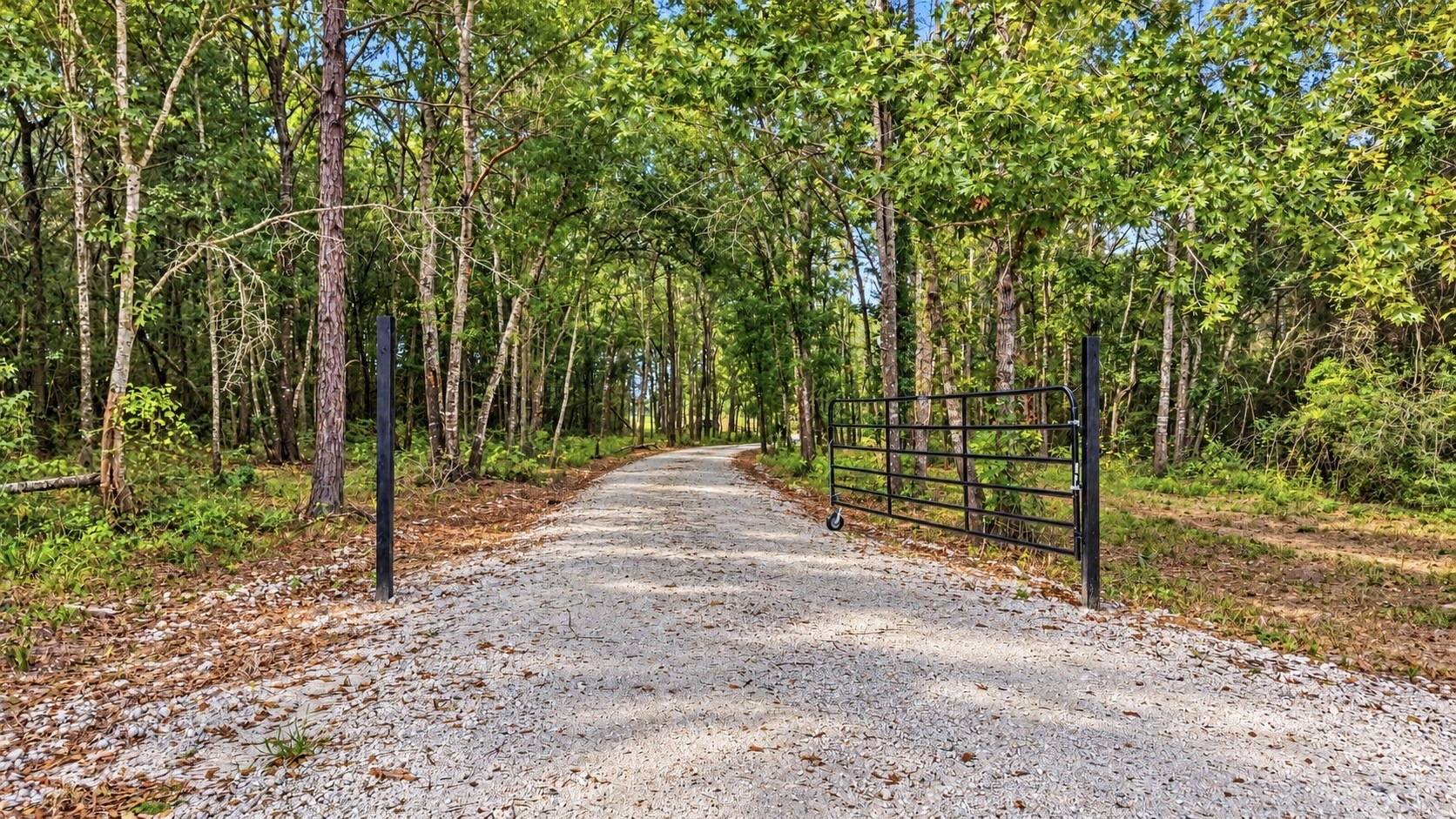 23136 Sharpwest Trail, Montgomery, TX 77356