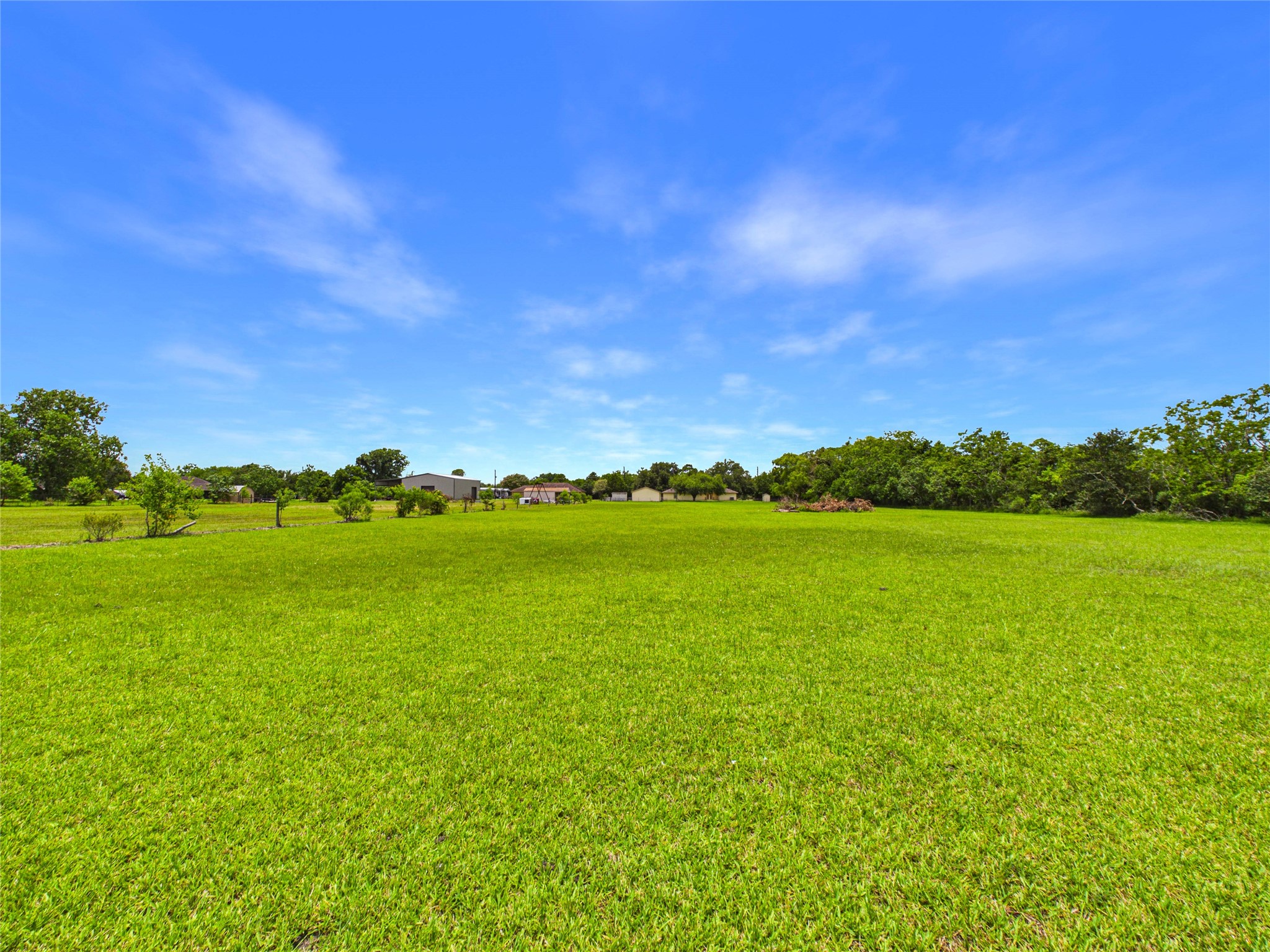 View from the back of the 2.46 acres!
