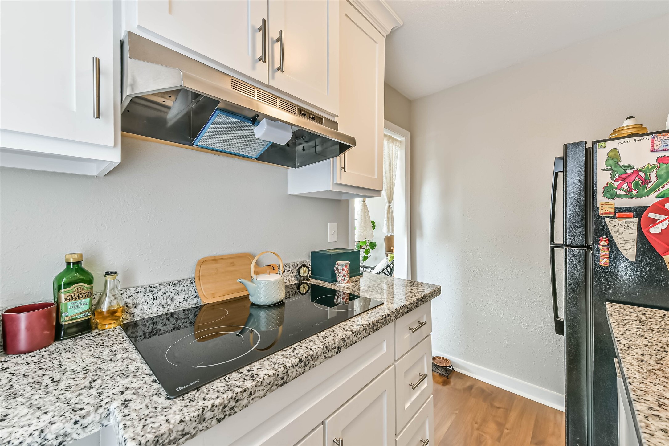 Kitchen in the garage apt