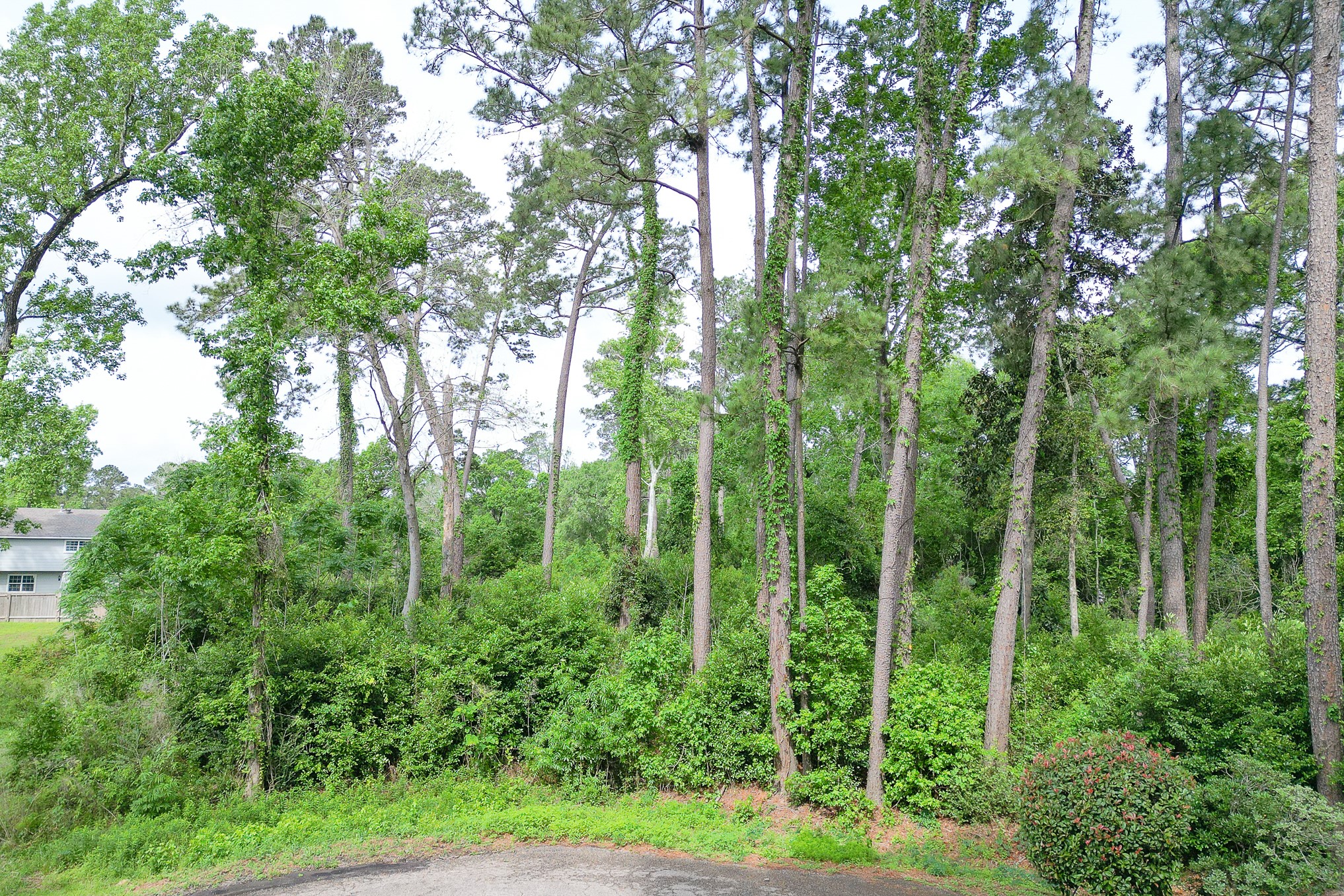 0 Roanoke Drive, Conroe, TX 77302