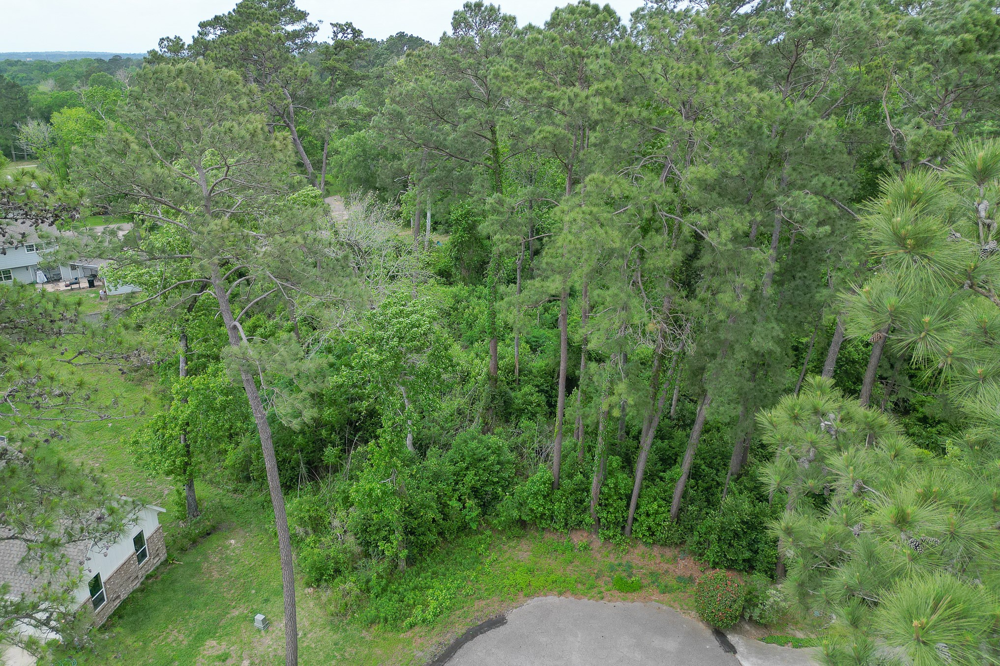 0 Roanoke Drive, Conroe, TX 77302