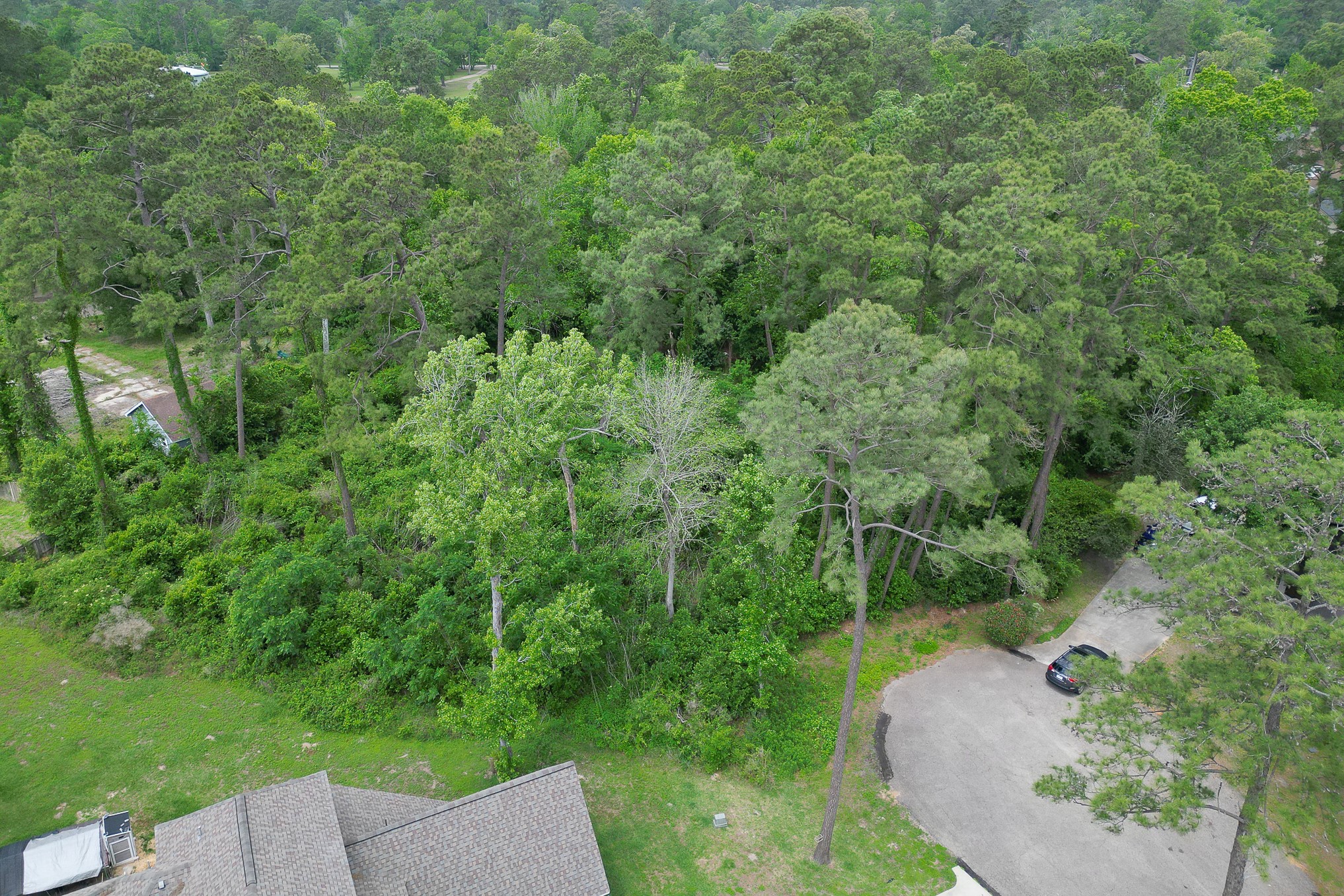 0 Roanoke Drive, Conroe, TX 77302