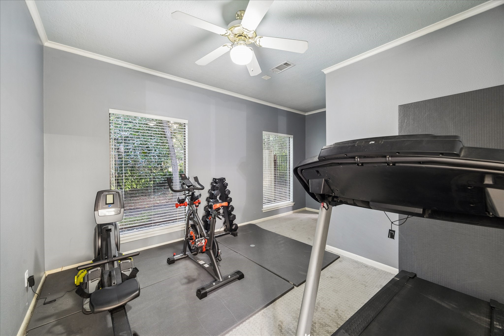 Next to the primary suite is a home gym with a treadmill, exercise bike, and rowing machine, featuring two large windows for natural light and a ceiling fan for ventilation.