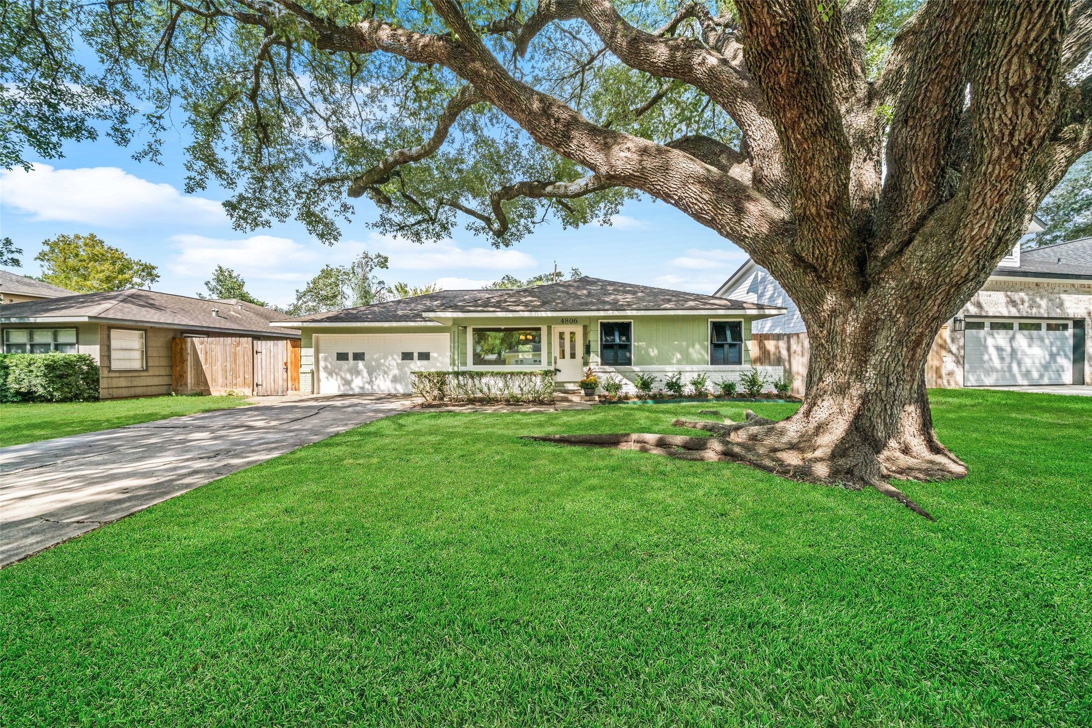 Charming single-story home with a spacious front yard and a magnificent mature tree, offering ample shade and a welcoming atmosphere.