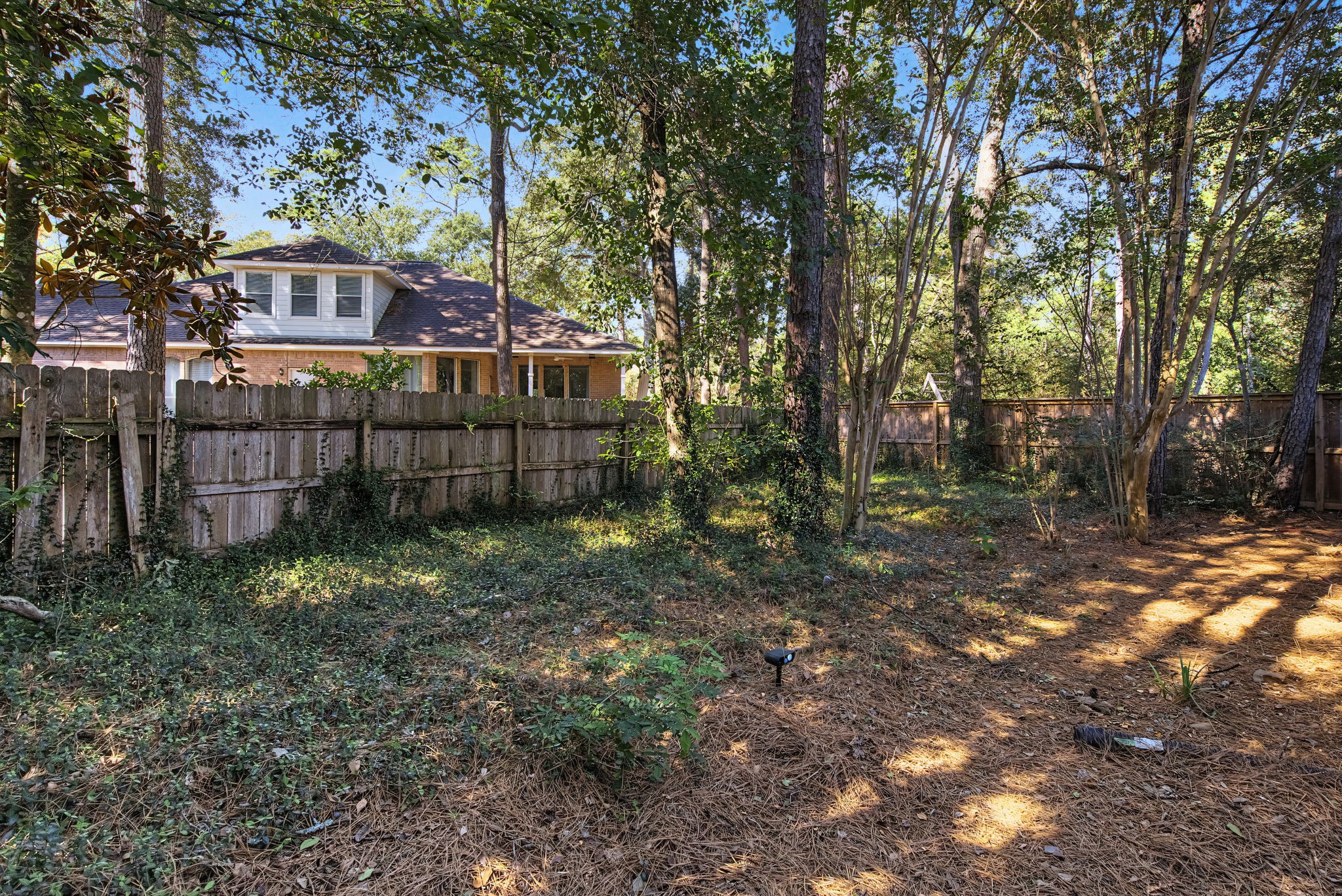 Bring your backyard ideas to life among the trees, with space to add landscaping, seating, and personal touches.