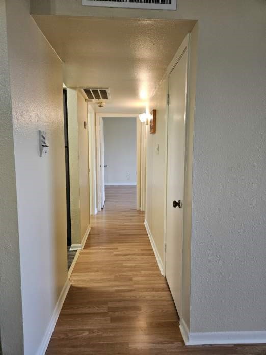 Hall area to the living room/Bedrooms