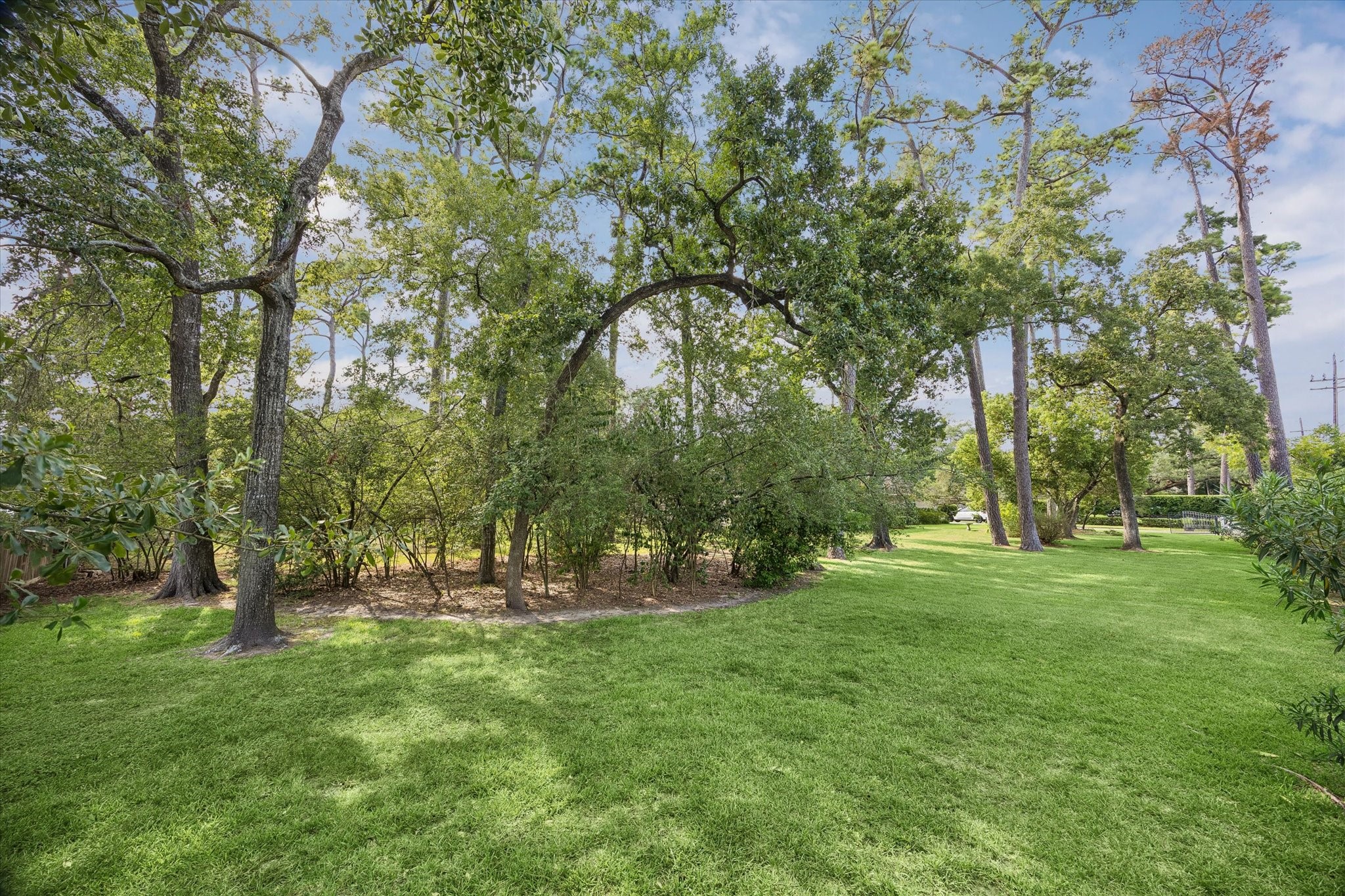 711 Echo Lane, Houston, TX 77024