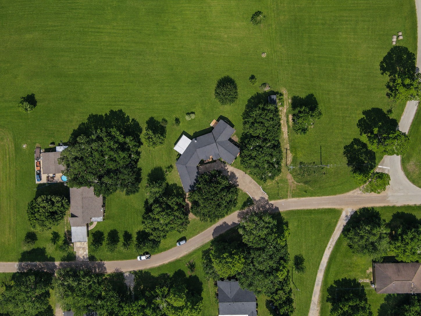 Lots of privacy and shade on this lot