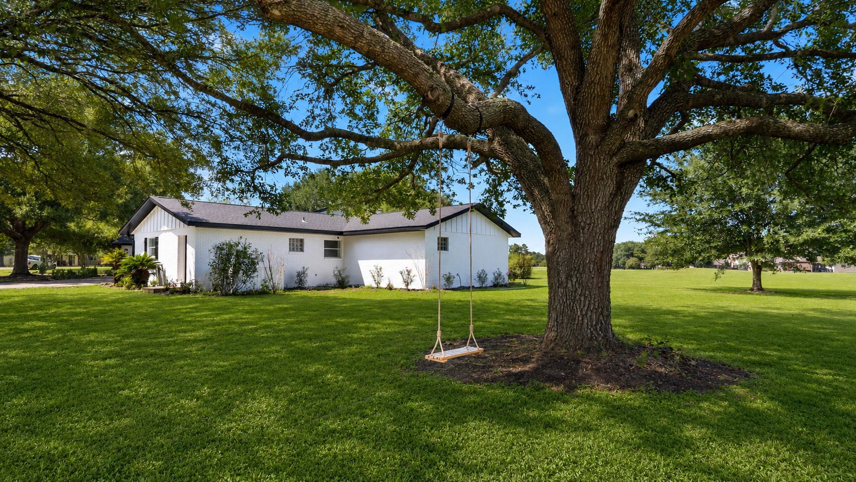 One of the huge oaks with a swing to enjoy