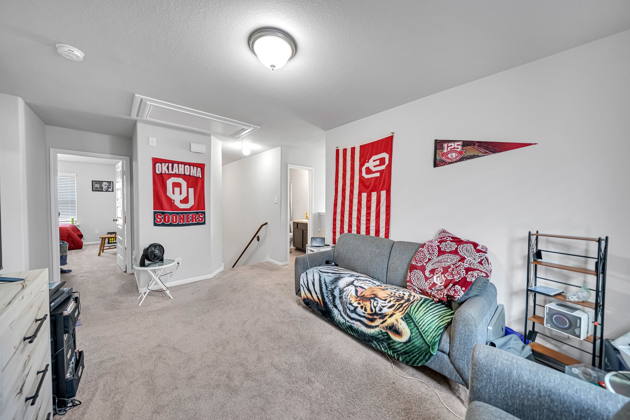 10703 Nyla Spring Street, Houston, TX 77016