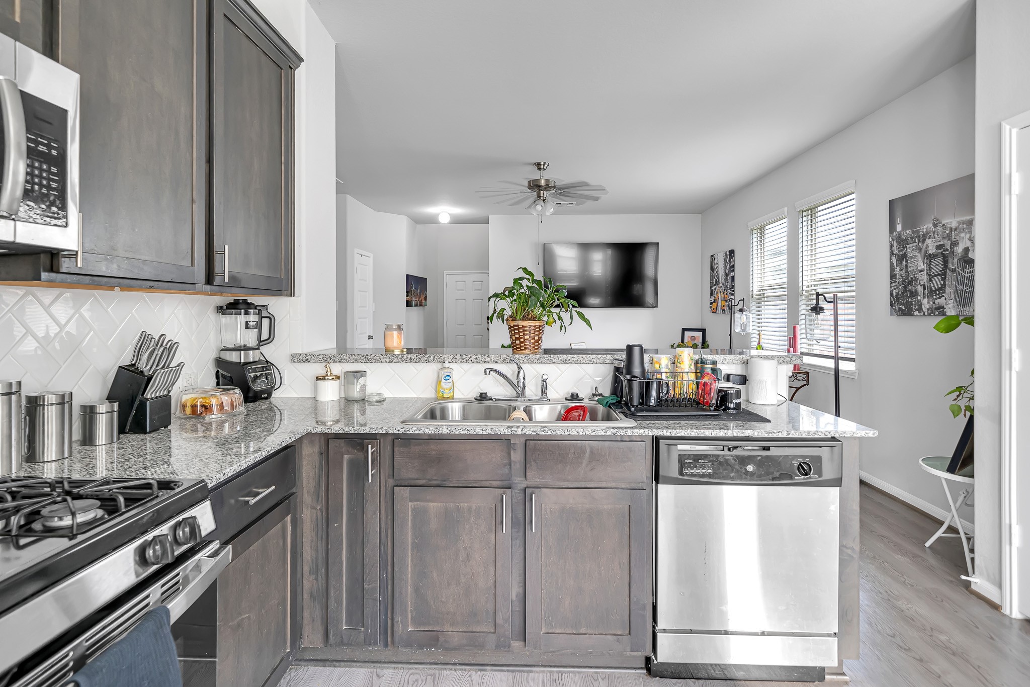 10703 Nyla Spring Street, Houston, TX 77016