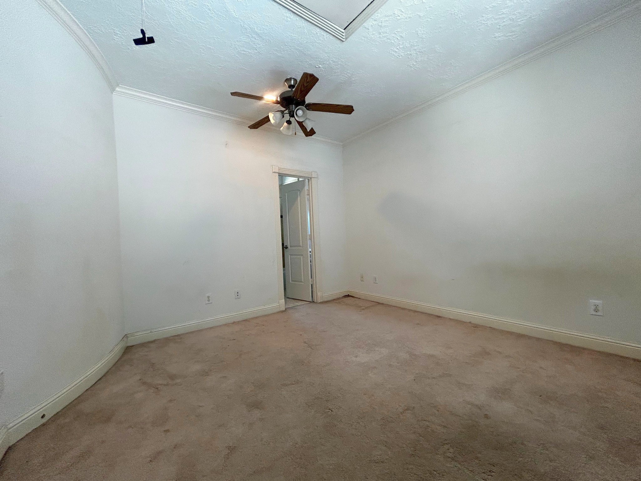 5206 Nett Street, #B, Houston, TX 77007
