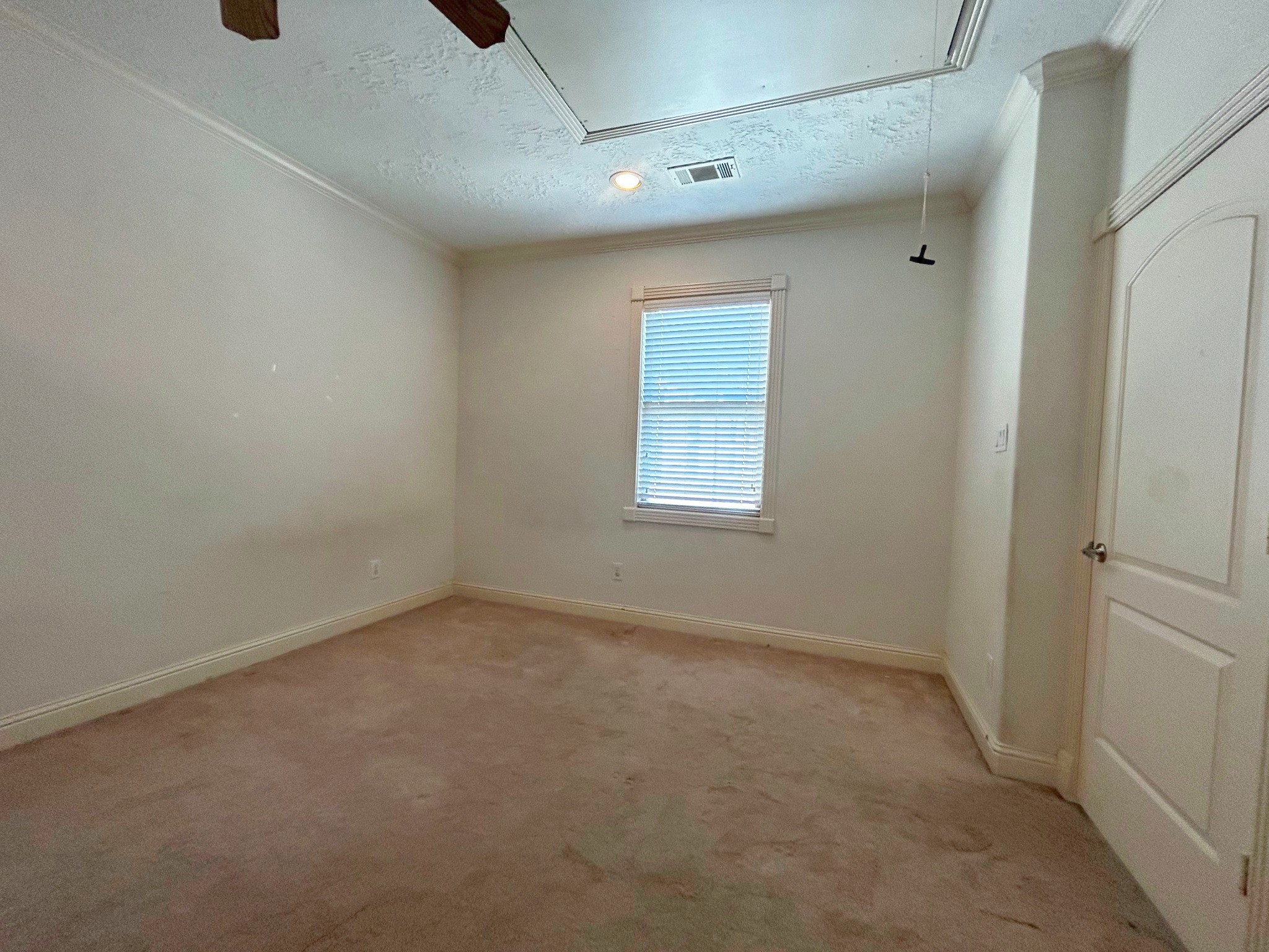 5206 Nett Street, #B, Houston, TX 77007