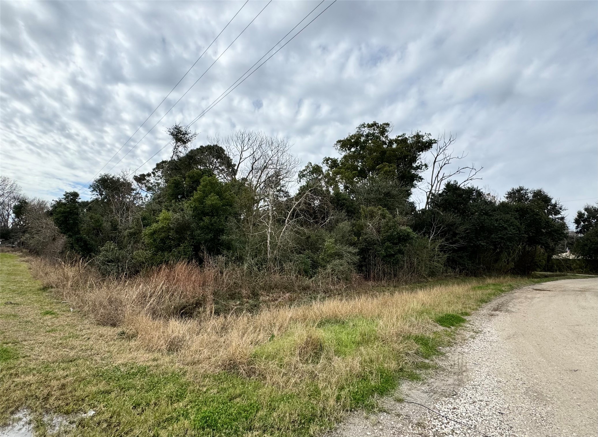 LOT 9 Shannon, Hitchcock, TX 77563 LOT 9 Shannon, Hitchcock, TX 77563