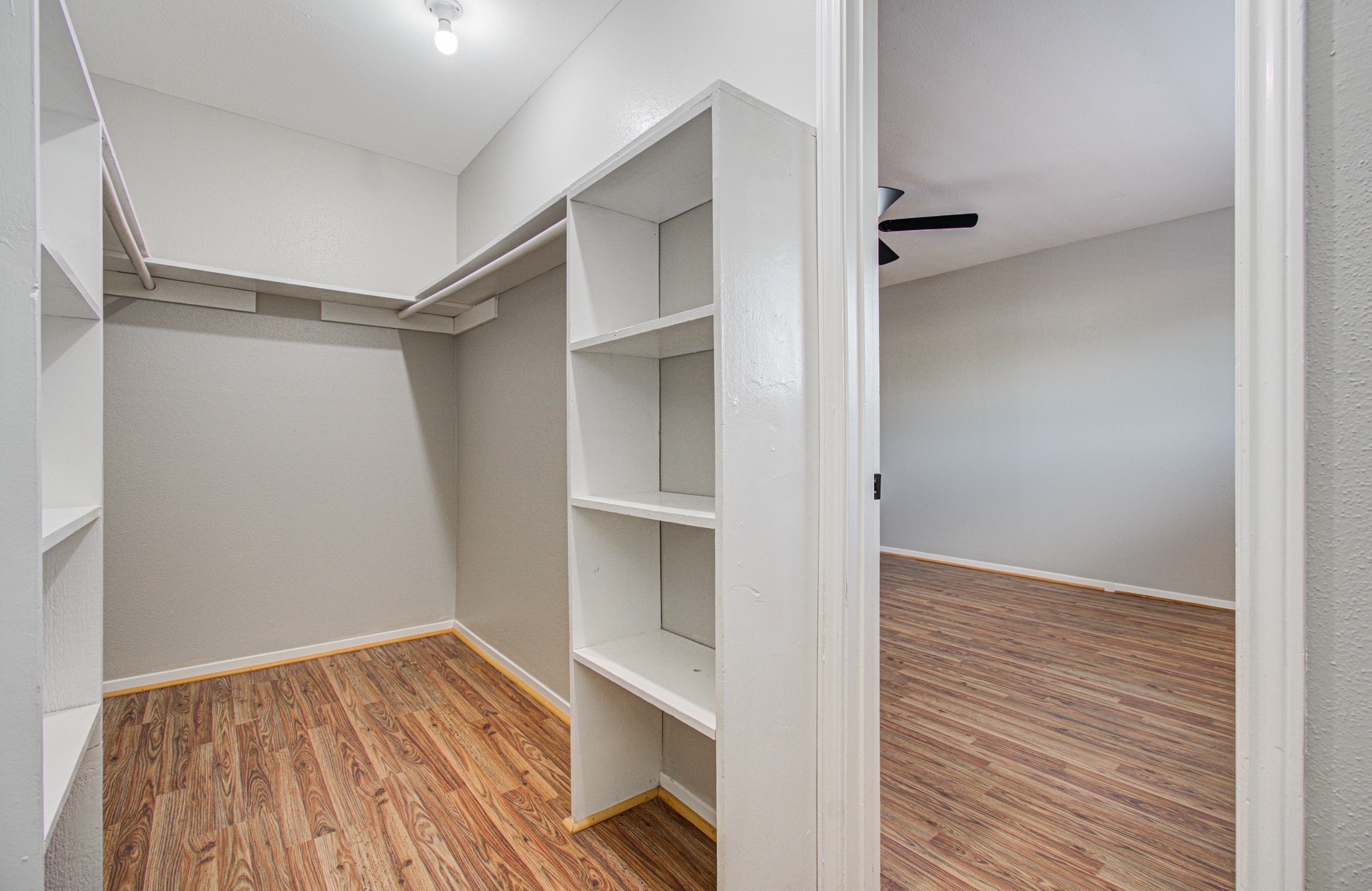 11550 Chimney Rock Road, #223, Houston, TX 77035