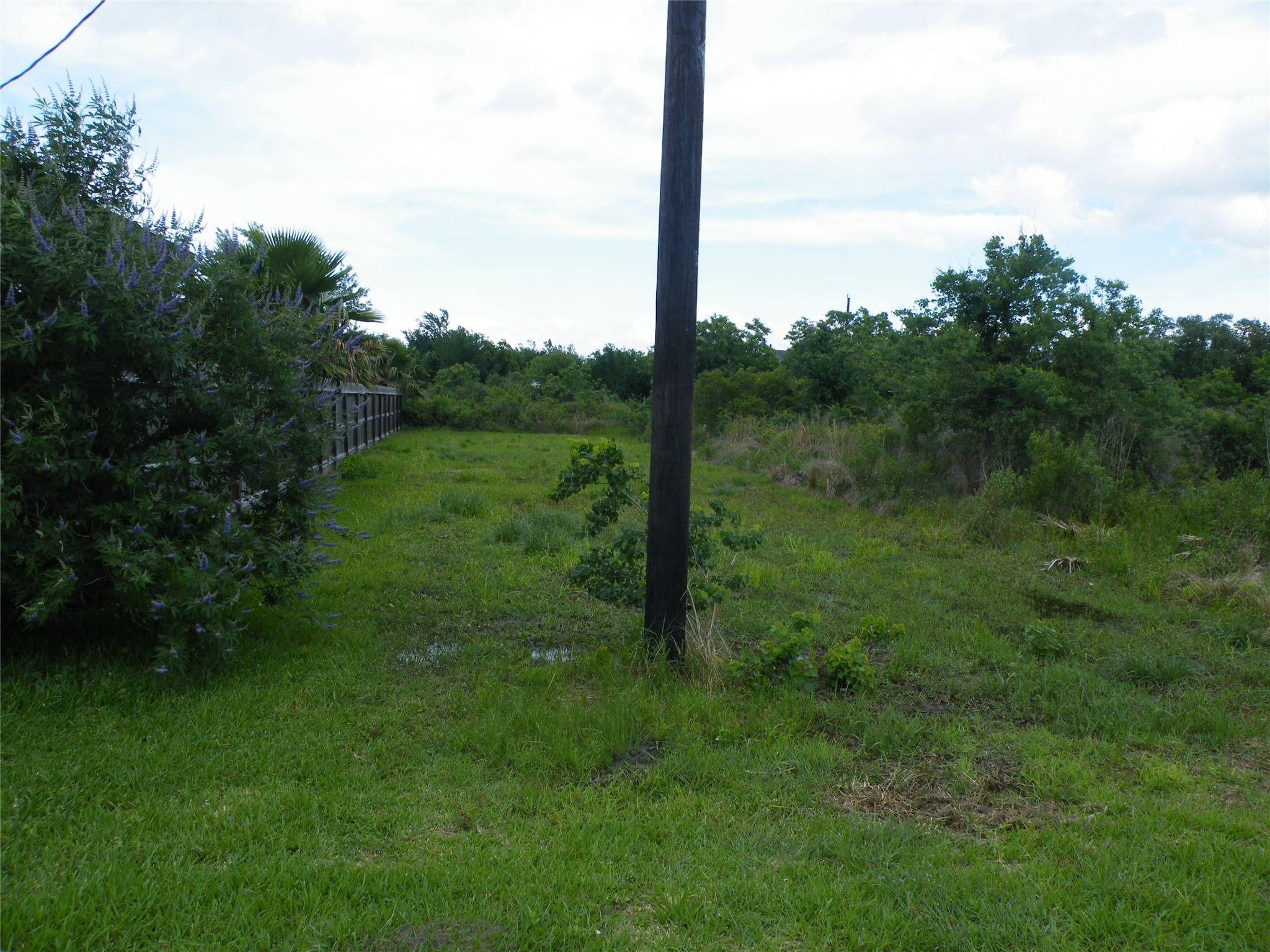 The 3rd lot next door that conveys with the property