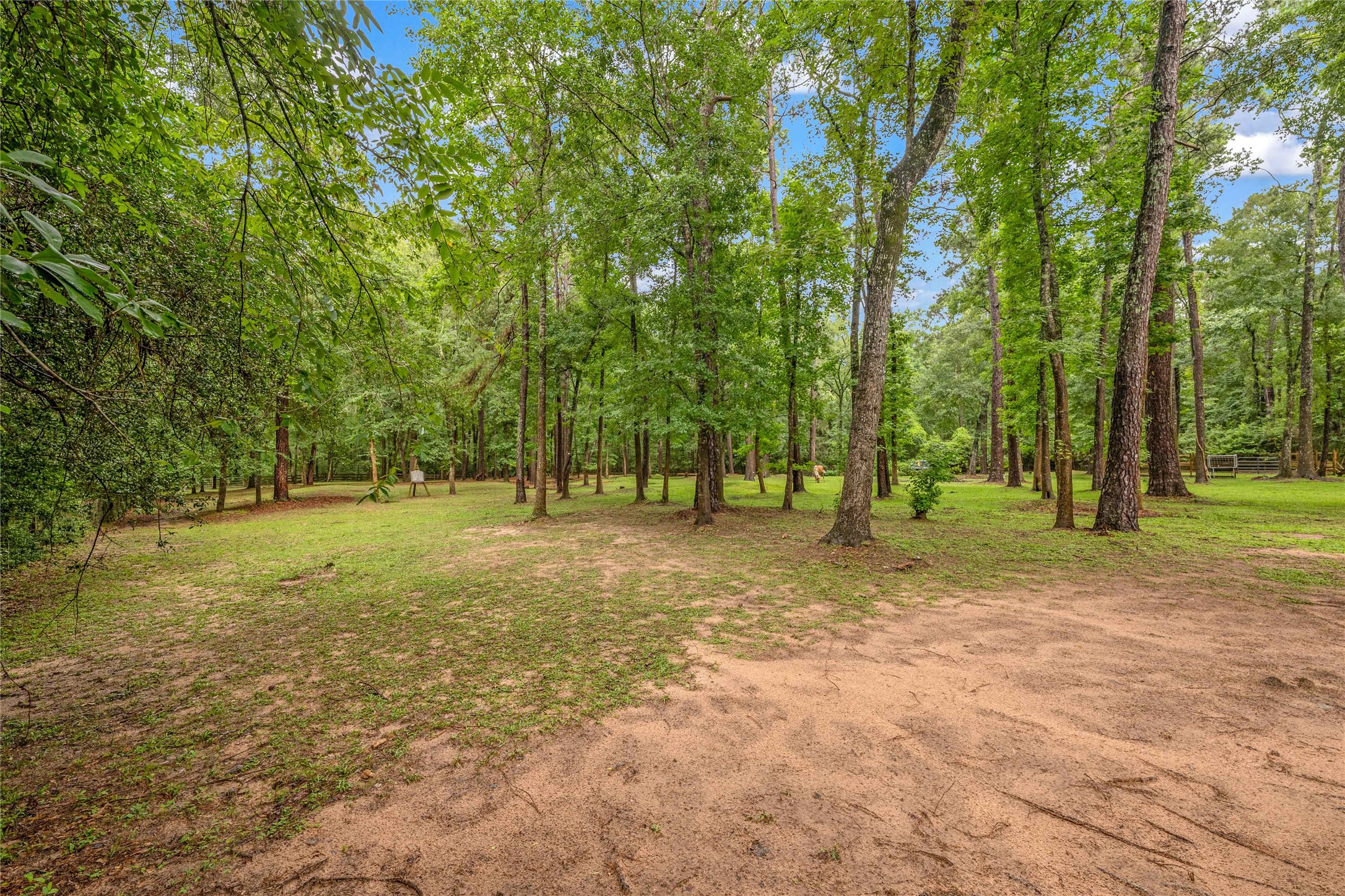 17203 Gold Panning Court, Magnolia, TX 77355