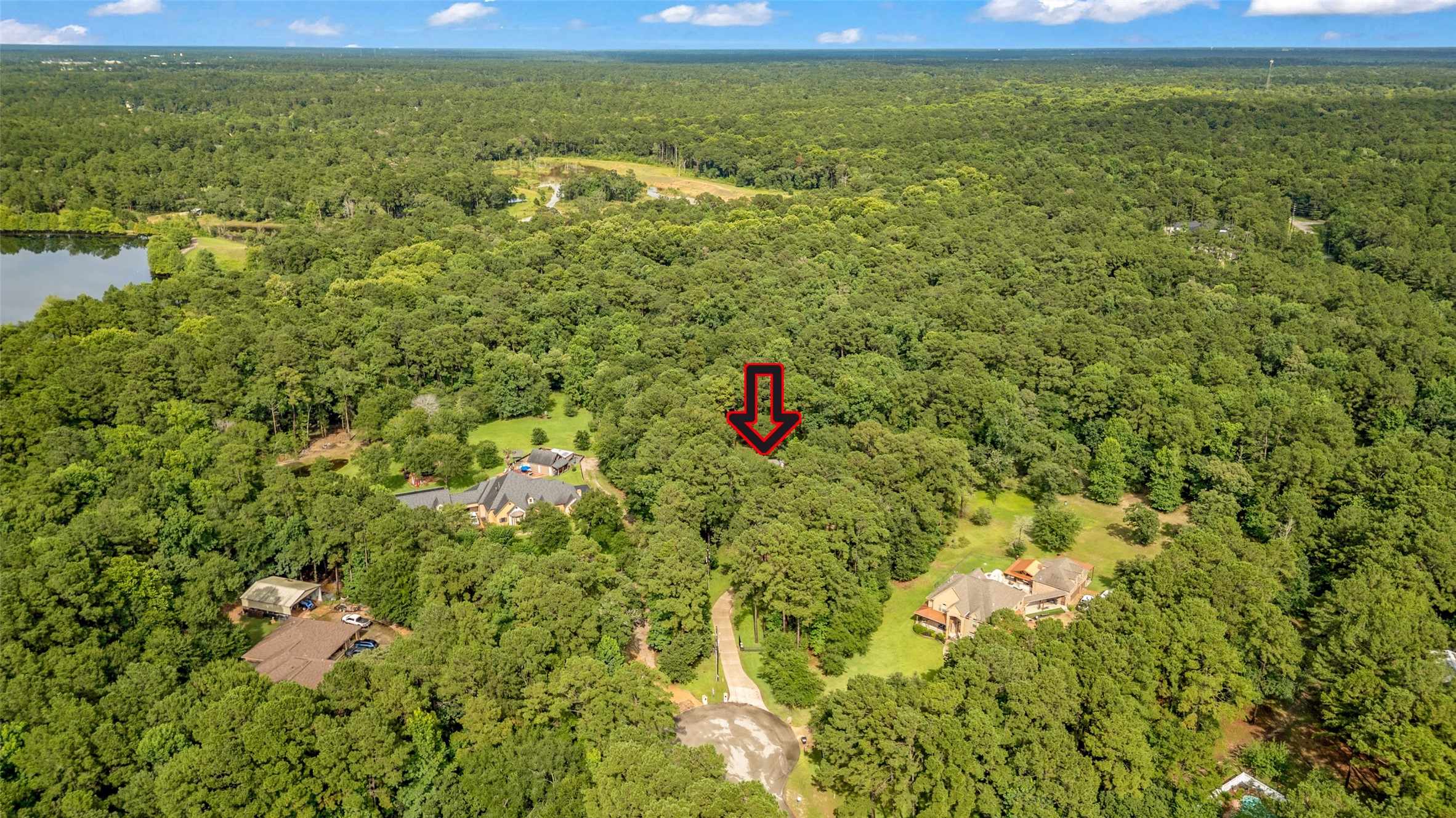 17203 Gold Panning Court, Magnolia, TX 77355